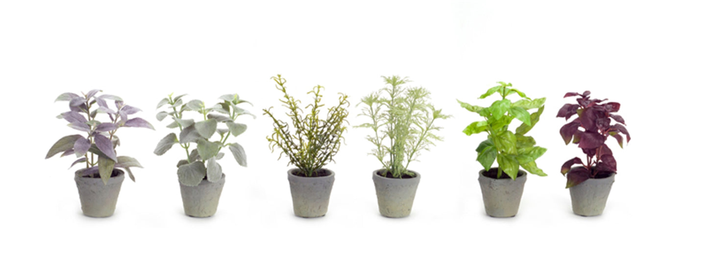 Potted Herb (Set Of 12) 7"H Polyester/Plastic