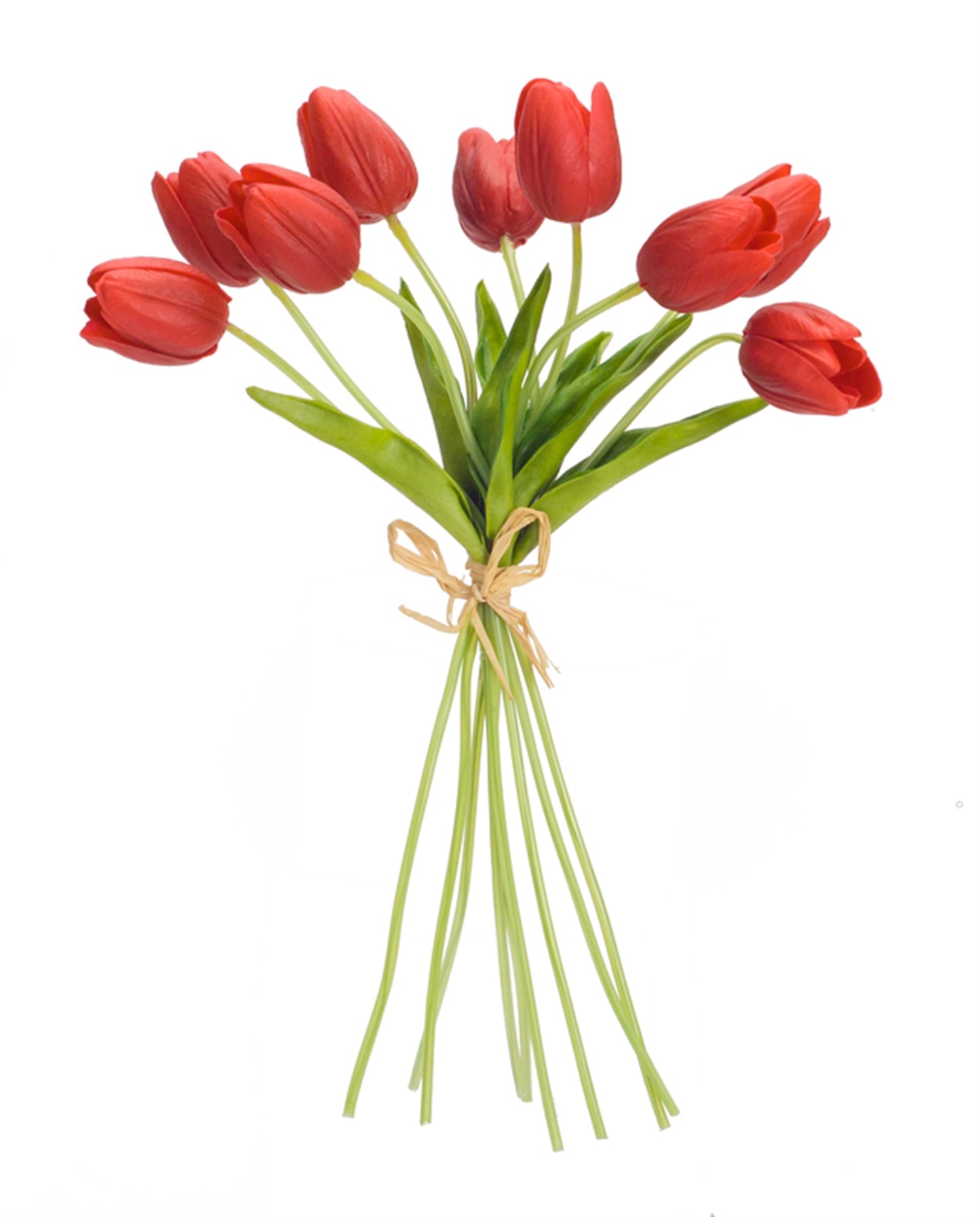 Tulip Bundle (Set Of 6) 15"H, Red