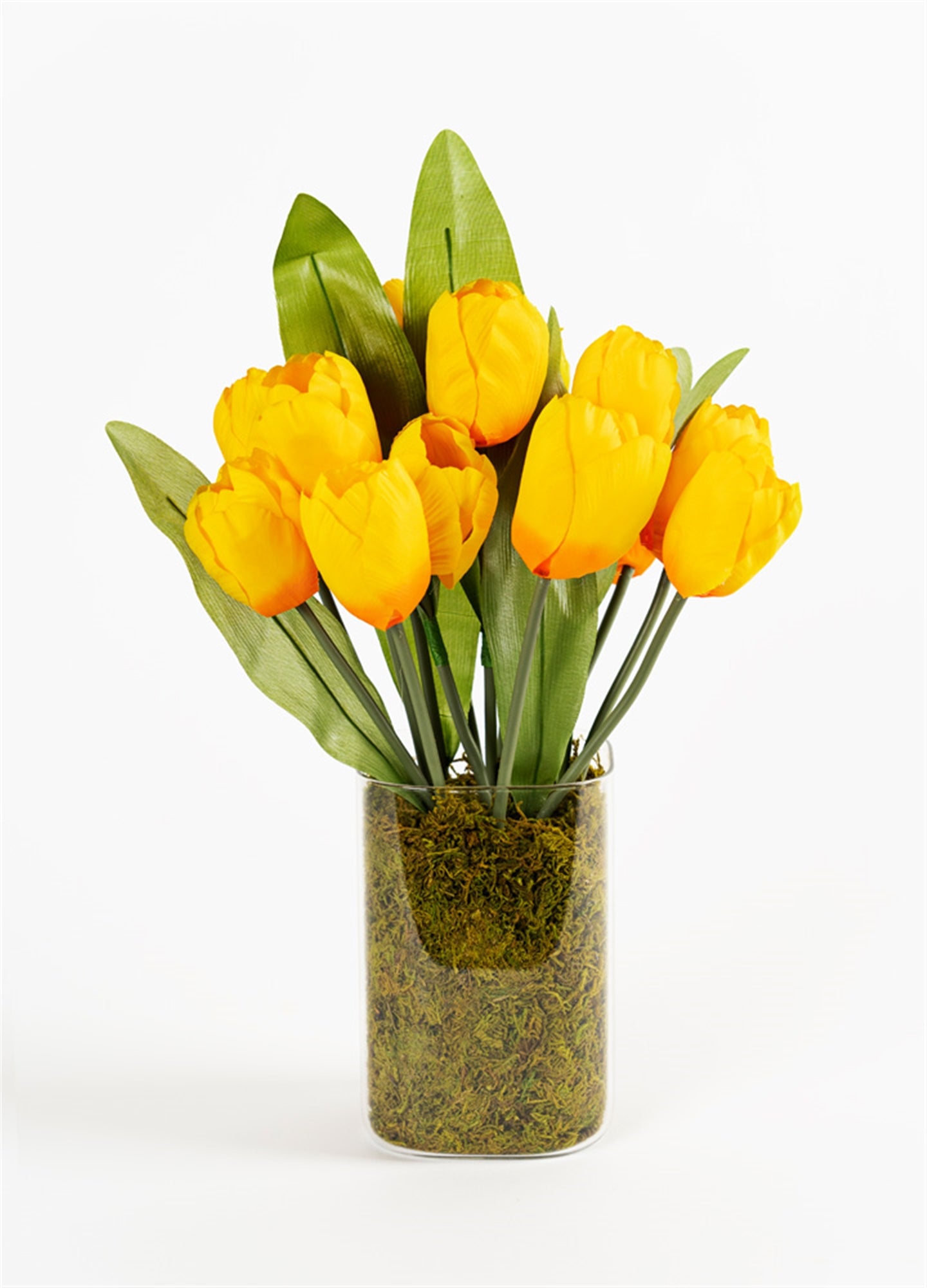 Tulip Floral Vase (Set Of 2) 16" Glass/Polyester