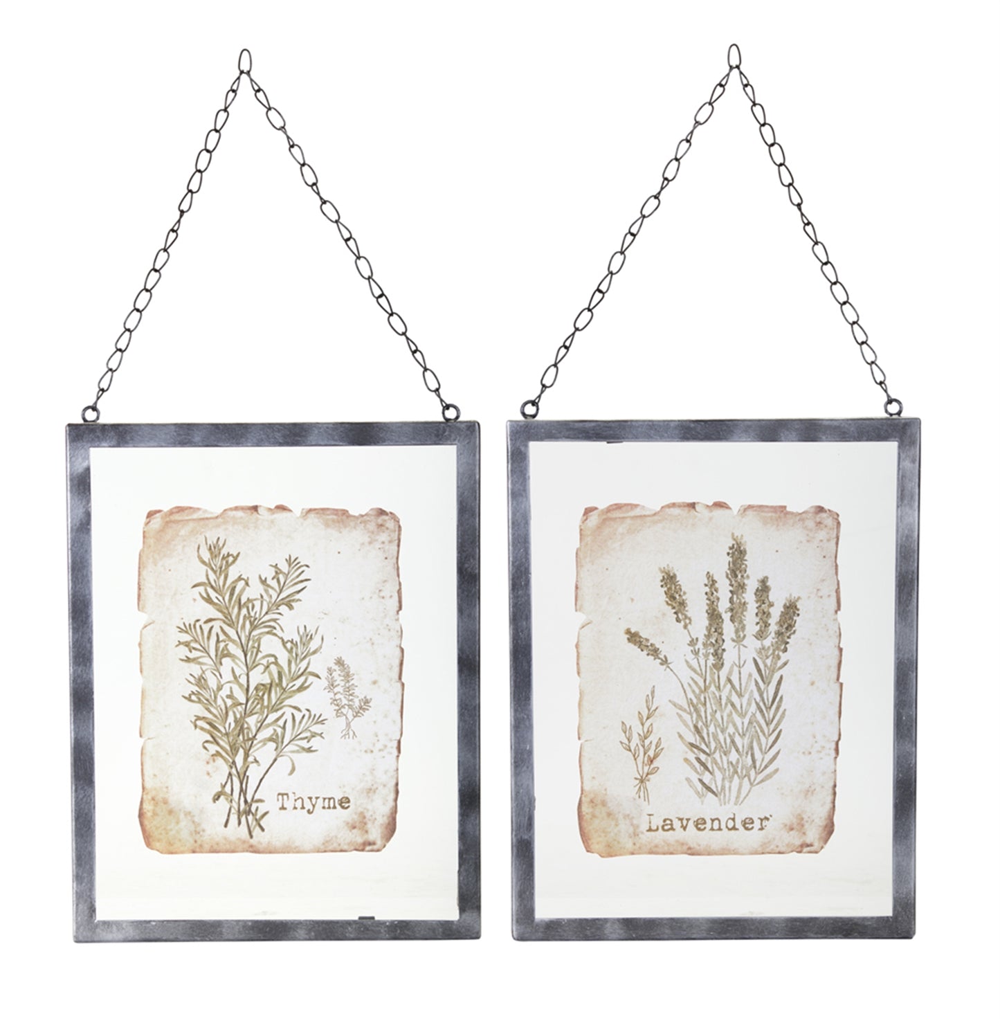 Lavender/Thyme Frame (Set Of 2) 9.5" x 12.5" Glass/Metal