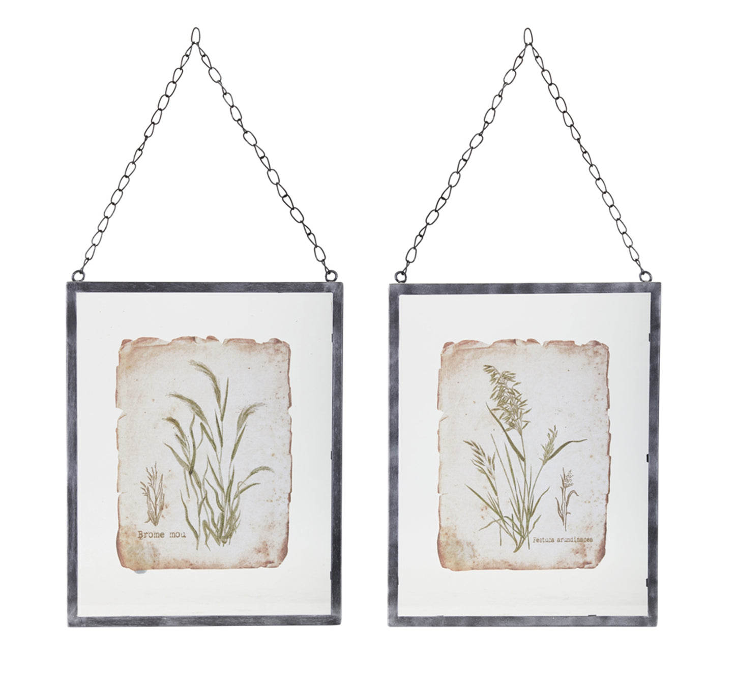 Grass Frame (Set Of 2) 12.5" x 16"H Glass/Metal