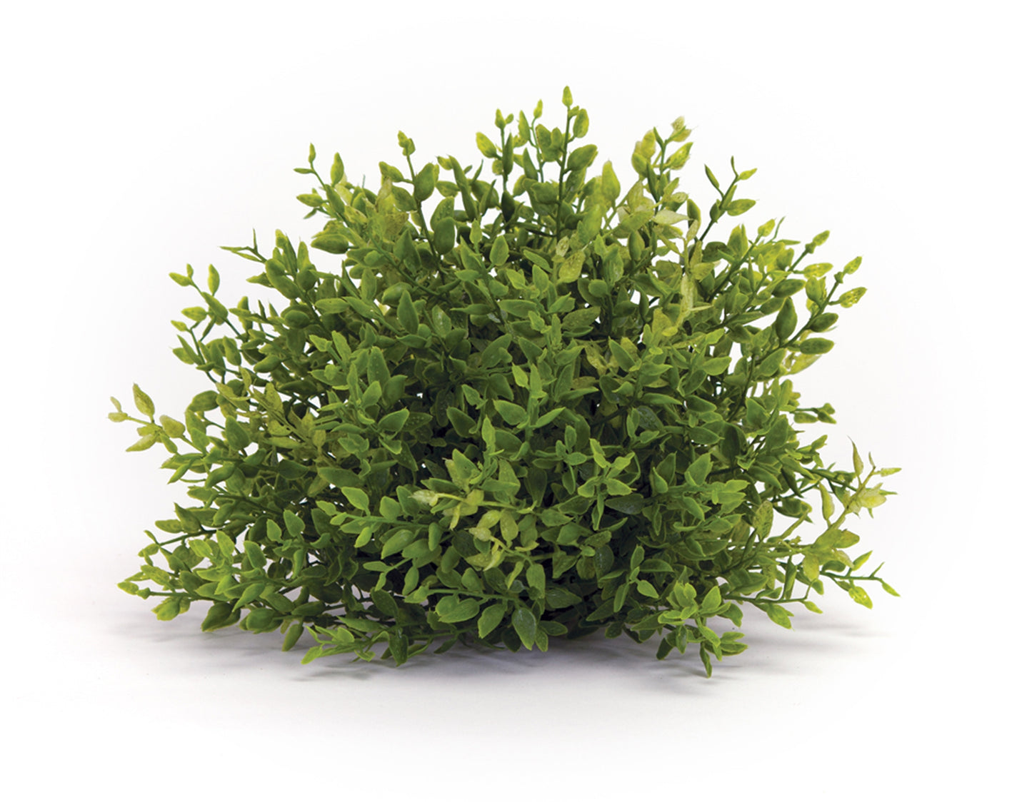 Mini Leaf Half Orb (Set Of 6) 7"D Plastic