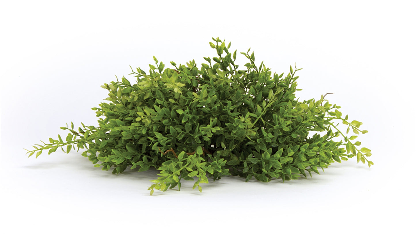 Mini Leaf Half Orb (Set Of 6) 14"D Plastic