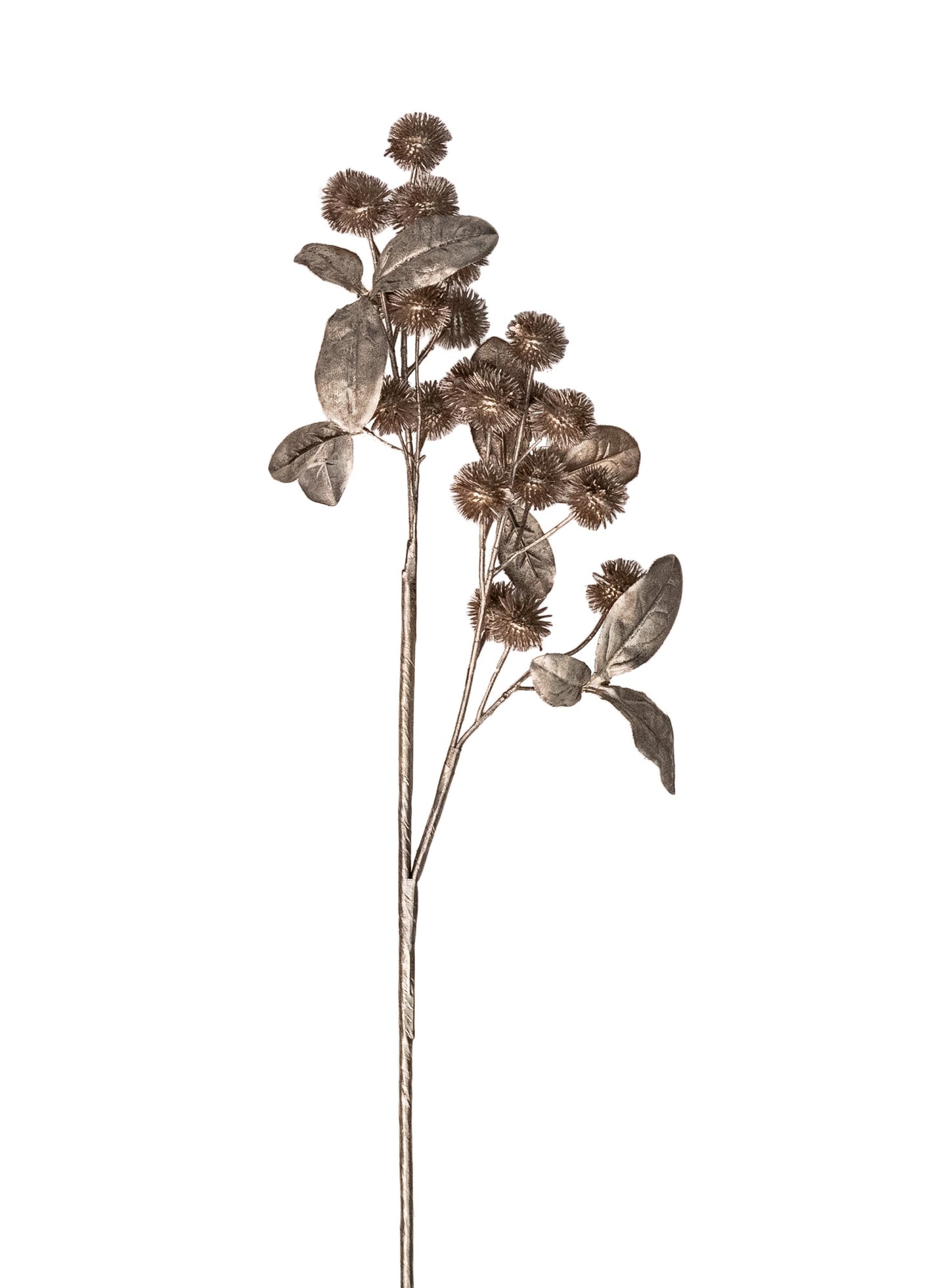 Pod Spray (Set Of 12)