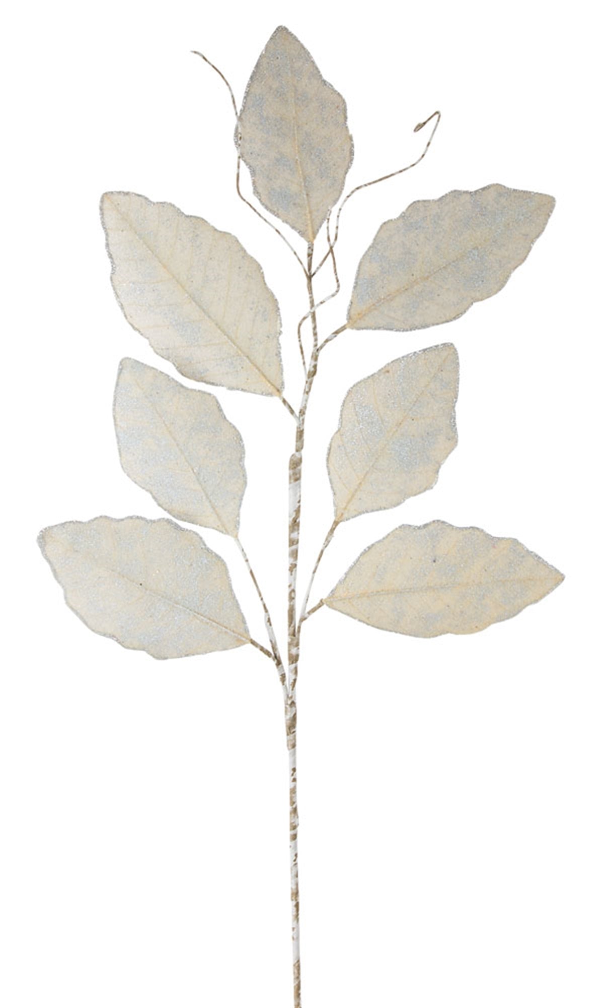 Magnolia Leaf Spray 31.5"H (Set Of 12) Paper