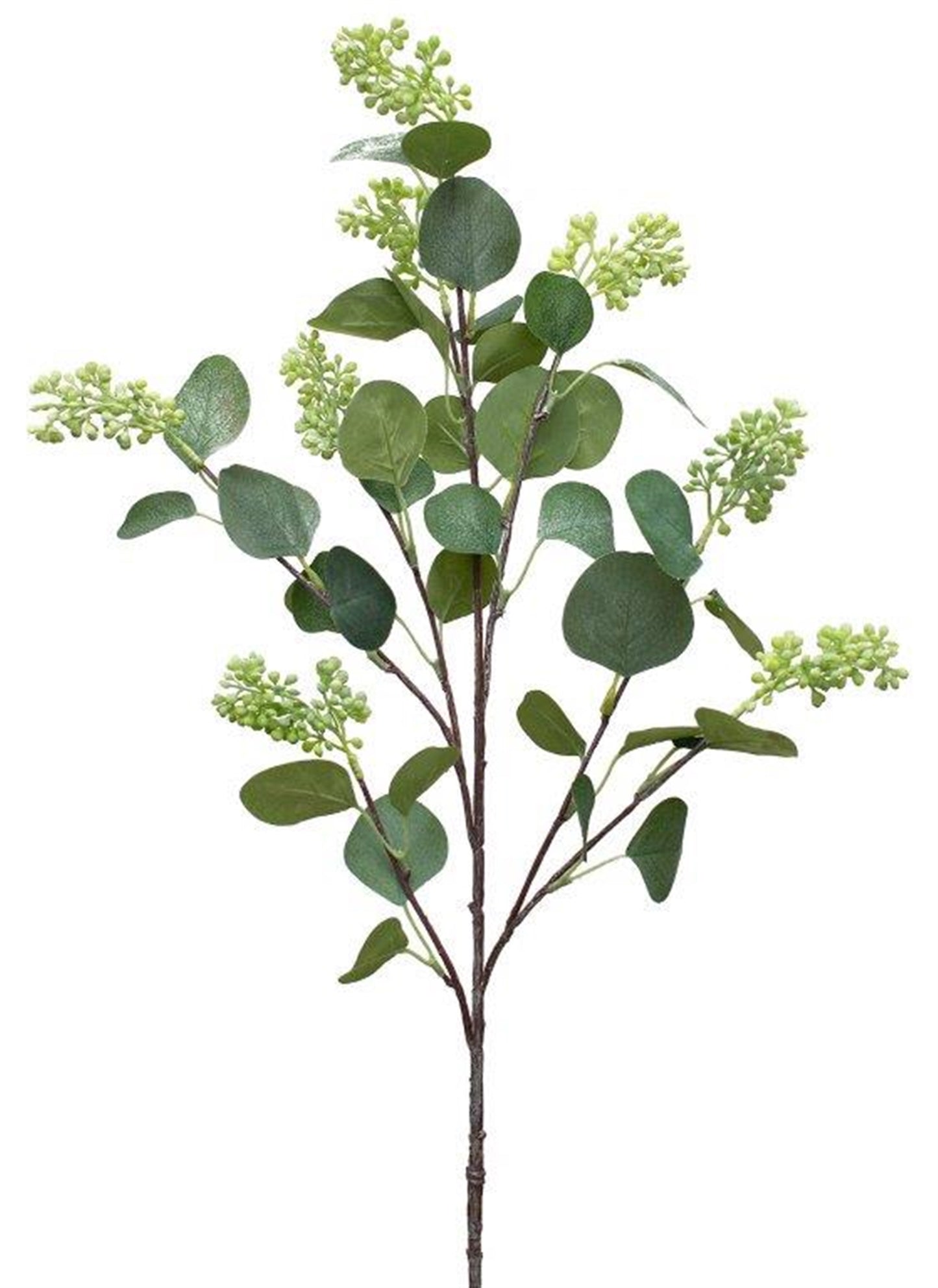 Seeded Eucalyptus Spray (Set Of 4) 26.5"H Polyester/Plastic