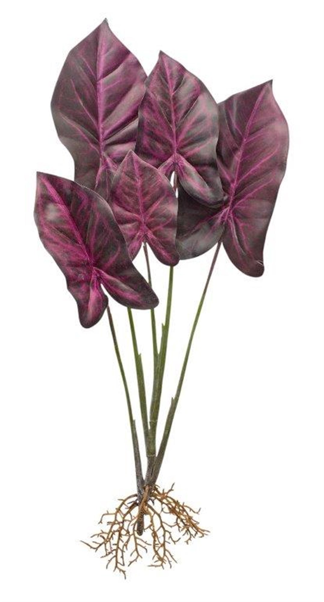 Caladium Plant (Set Of 2) 22.25"H Polyester