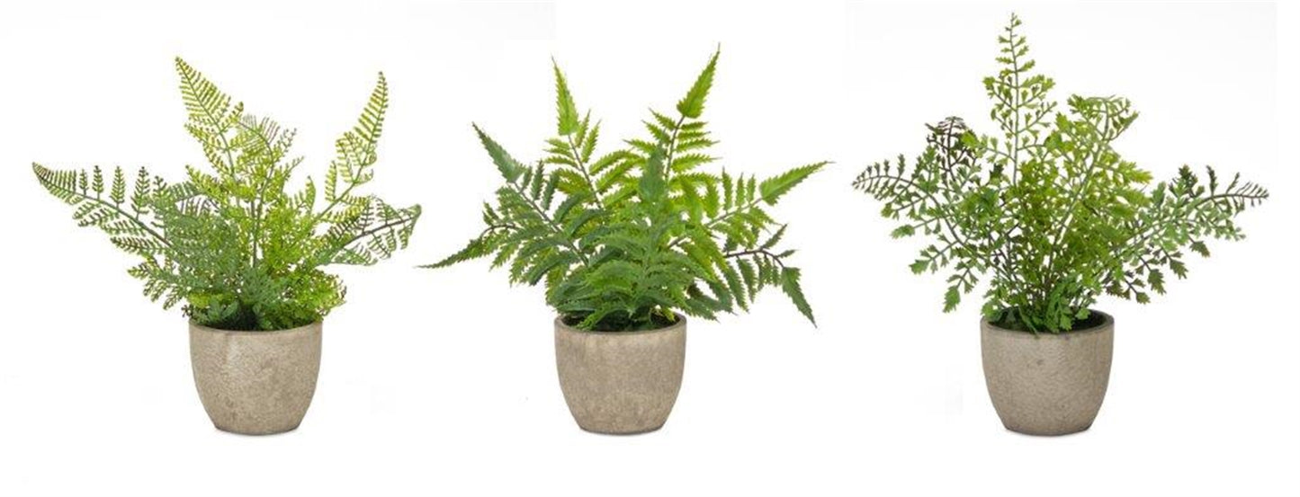 Potted Fern (Set Of 3) 9.5"H Plastic