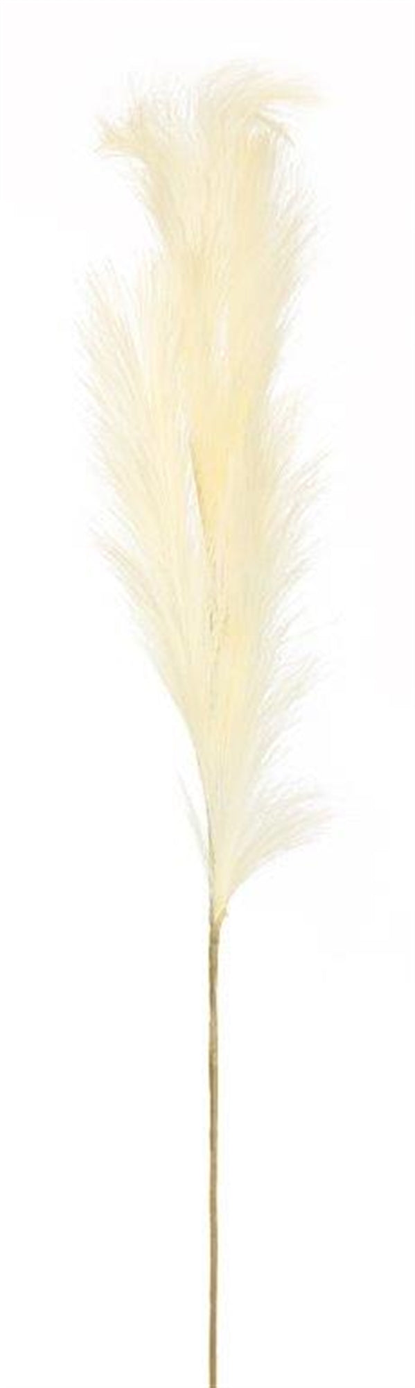 Pampas Spray (Set Of 4) 47"H Polyester, Beige, Green