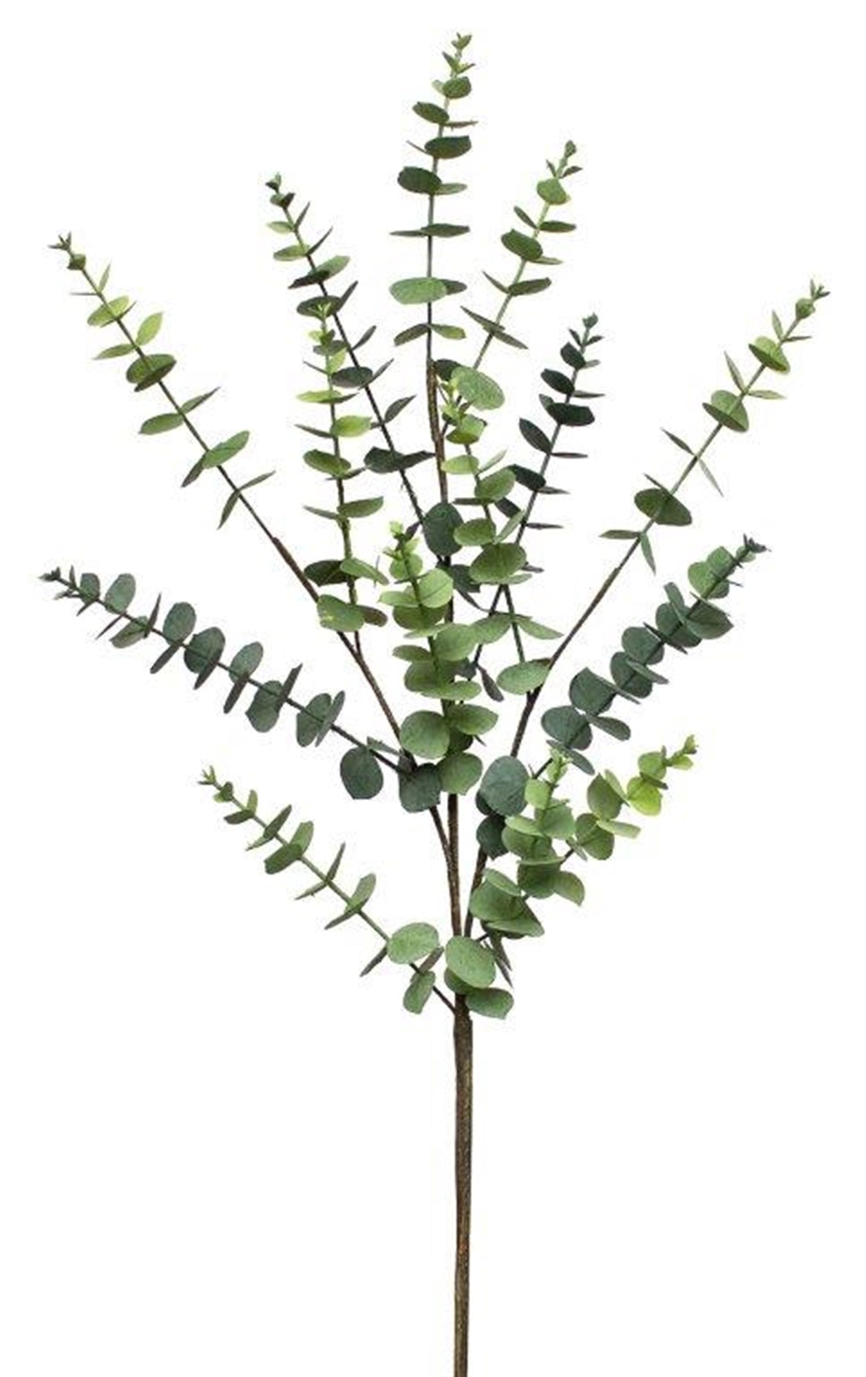 Eucalyptus Spray (Set Of 4) 36.75"H Plastic