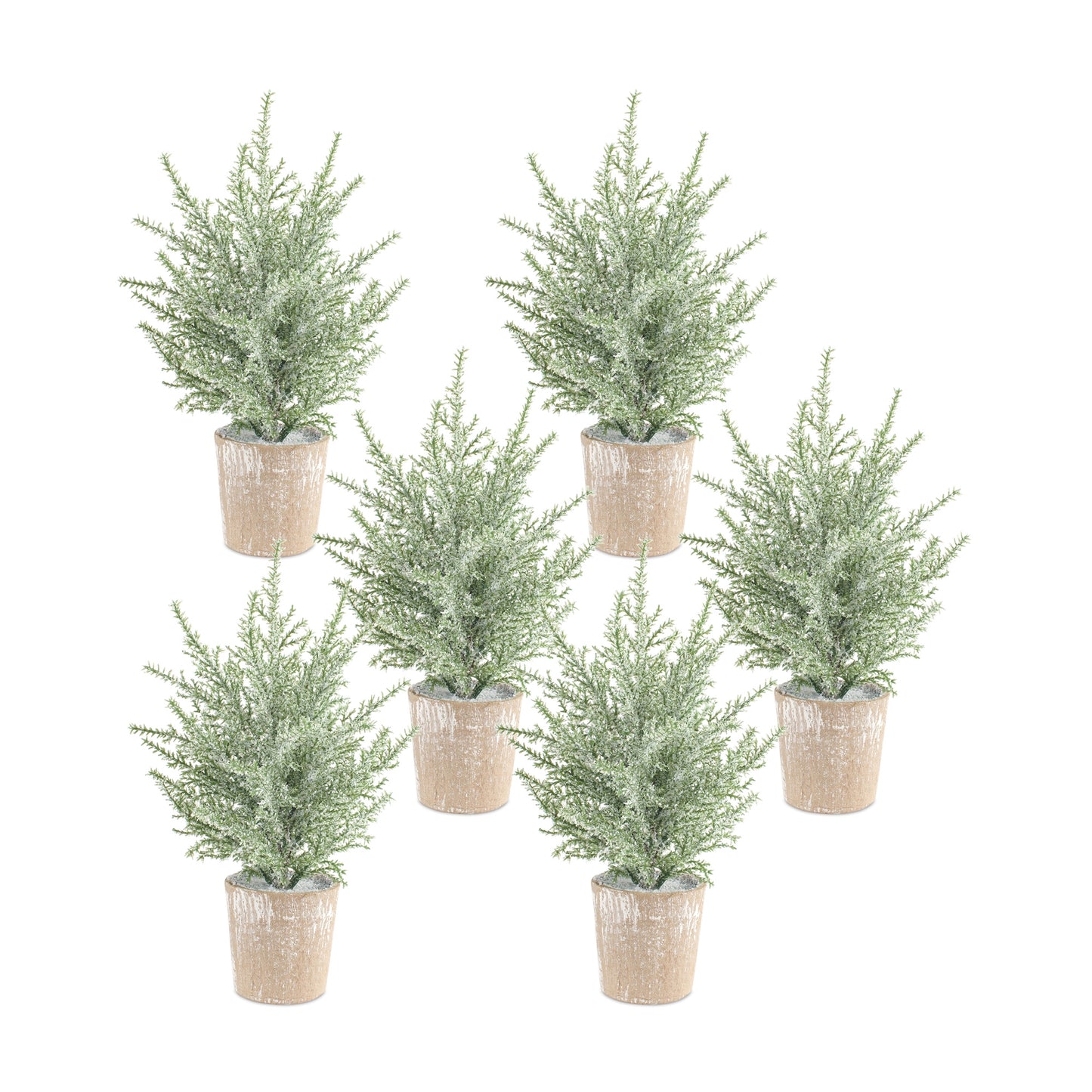 Potted Icy Pine Tree (Set Of 6) 12"H Plastic/Paper