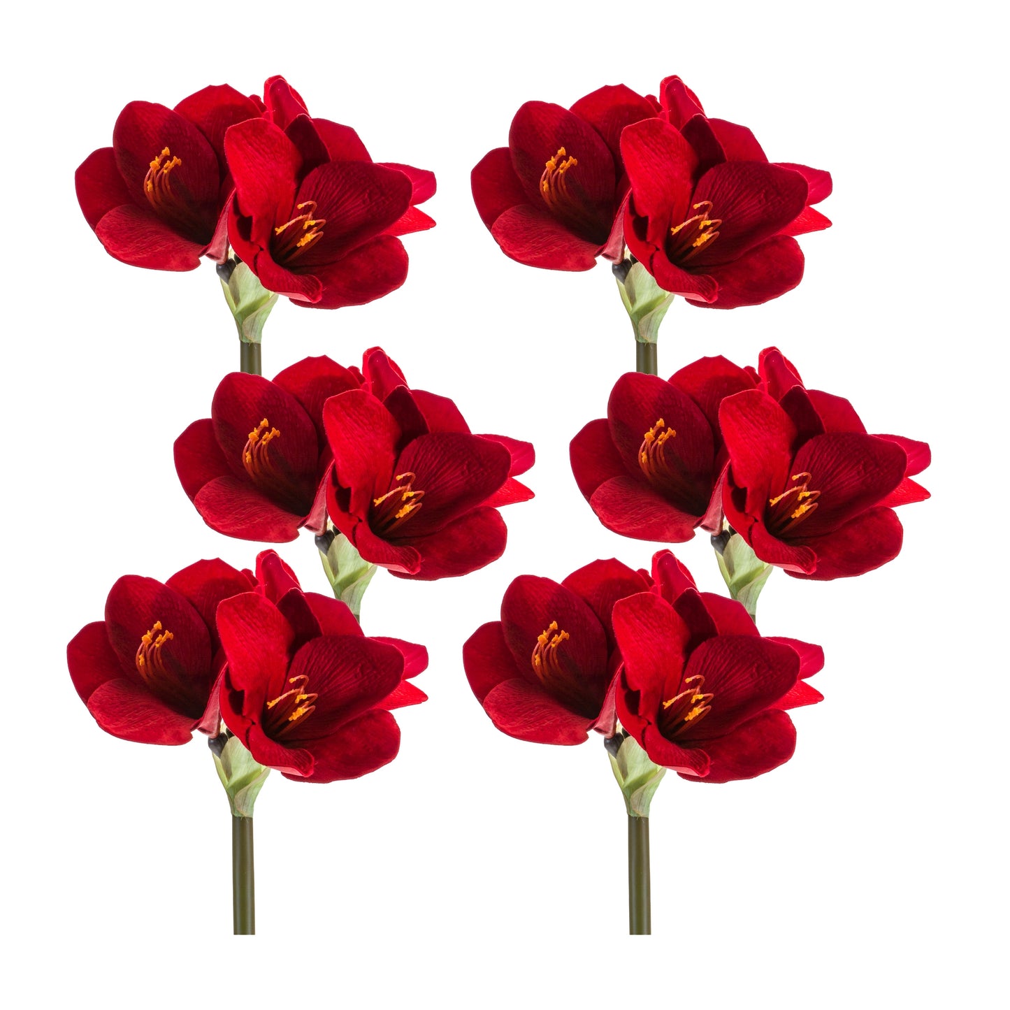 Amaryllis Stem (Set Of 6) 30.5"H Velvet