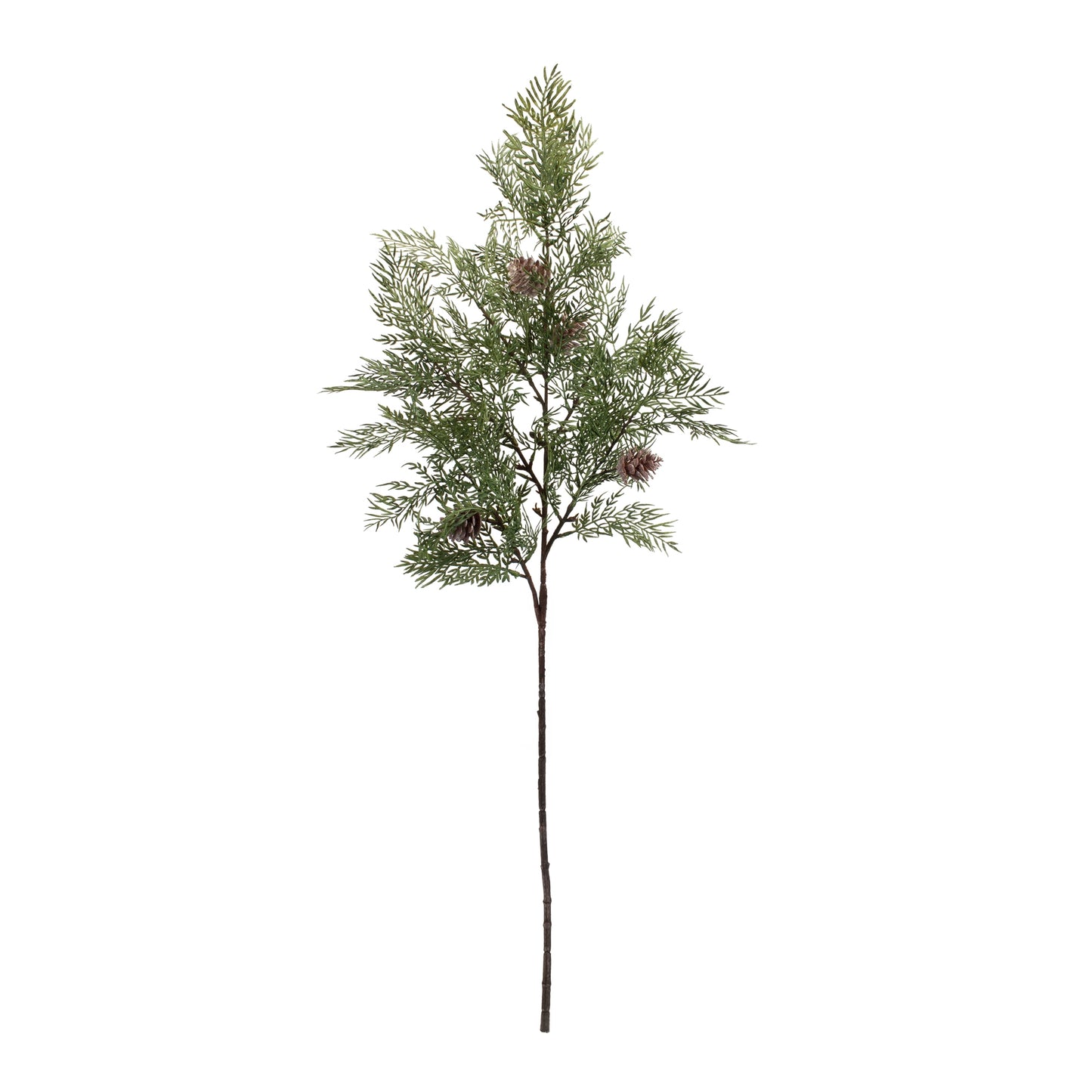 Cedar W/Cone Spray (Set Of 6) 42"H Plastic