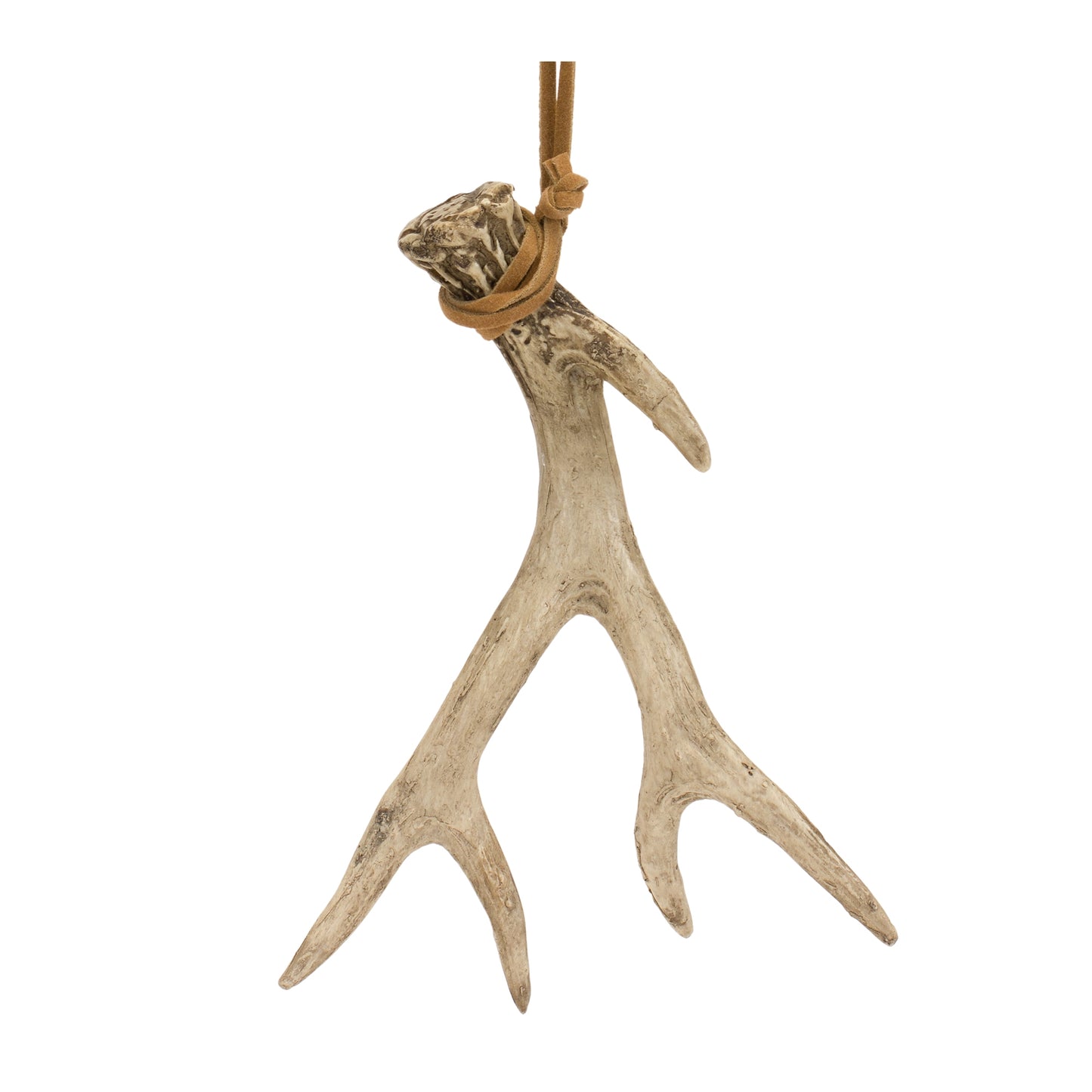 Antler (Set Of 12) 5"H Resin