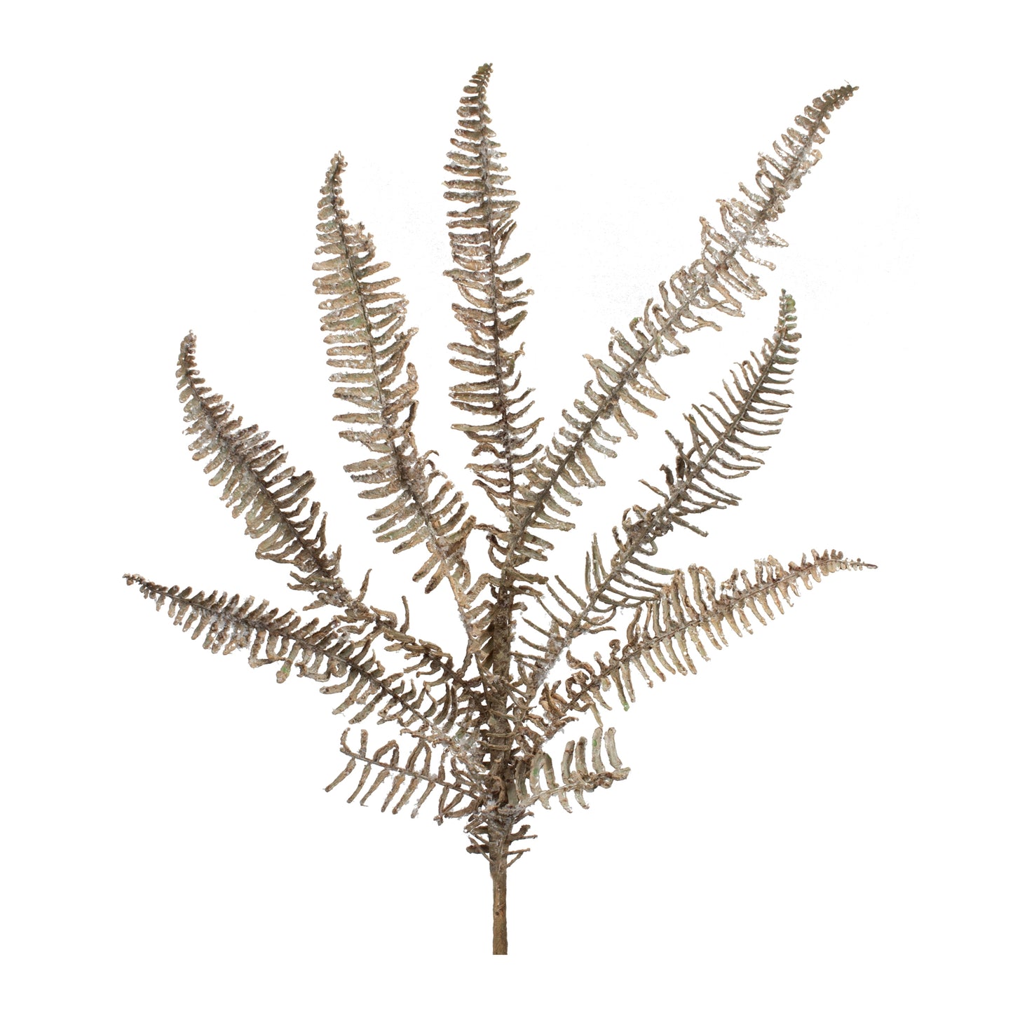 Icy Fern Spray (Set Of 6) 32"H Plastic