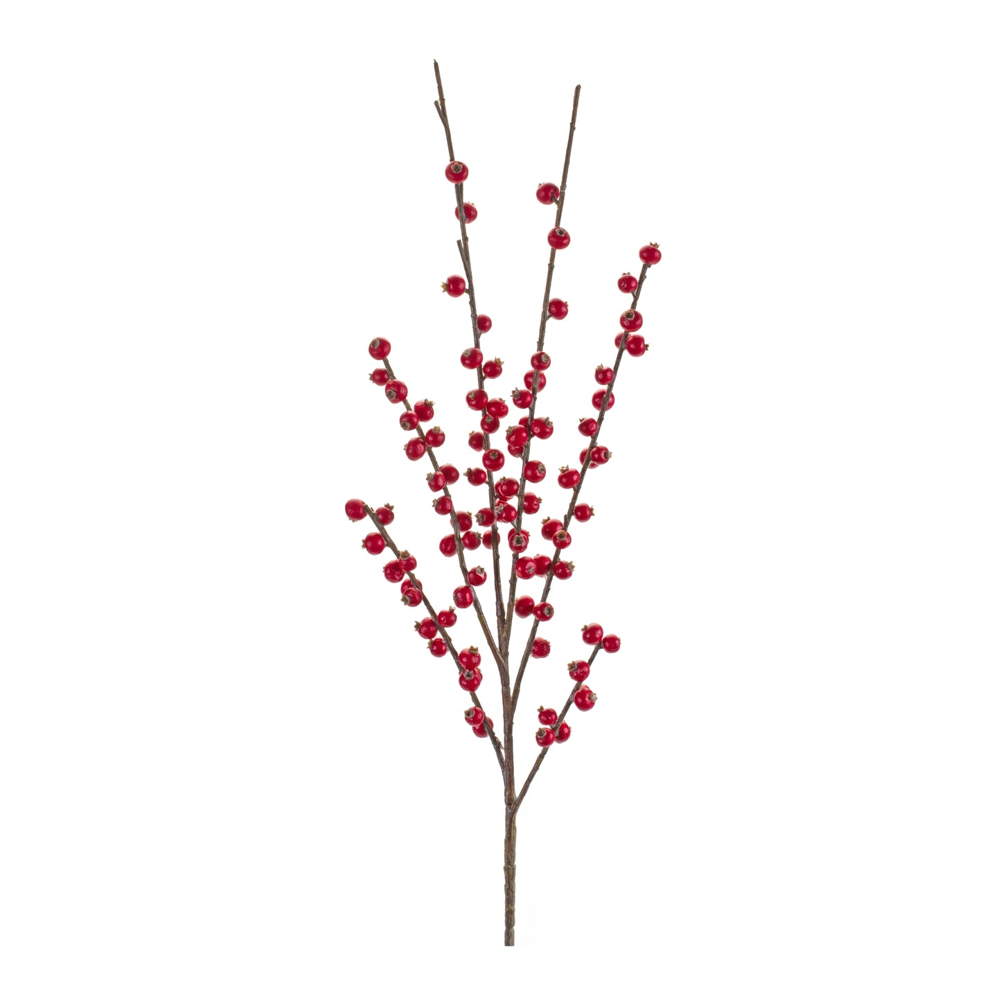 Berry Spray (Set Of 6) 34"H Foam, Red, Brown