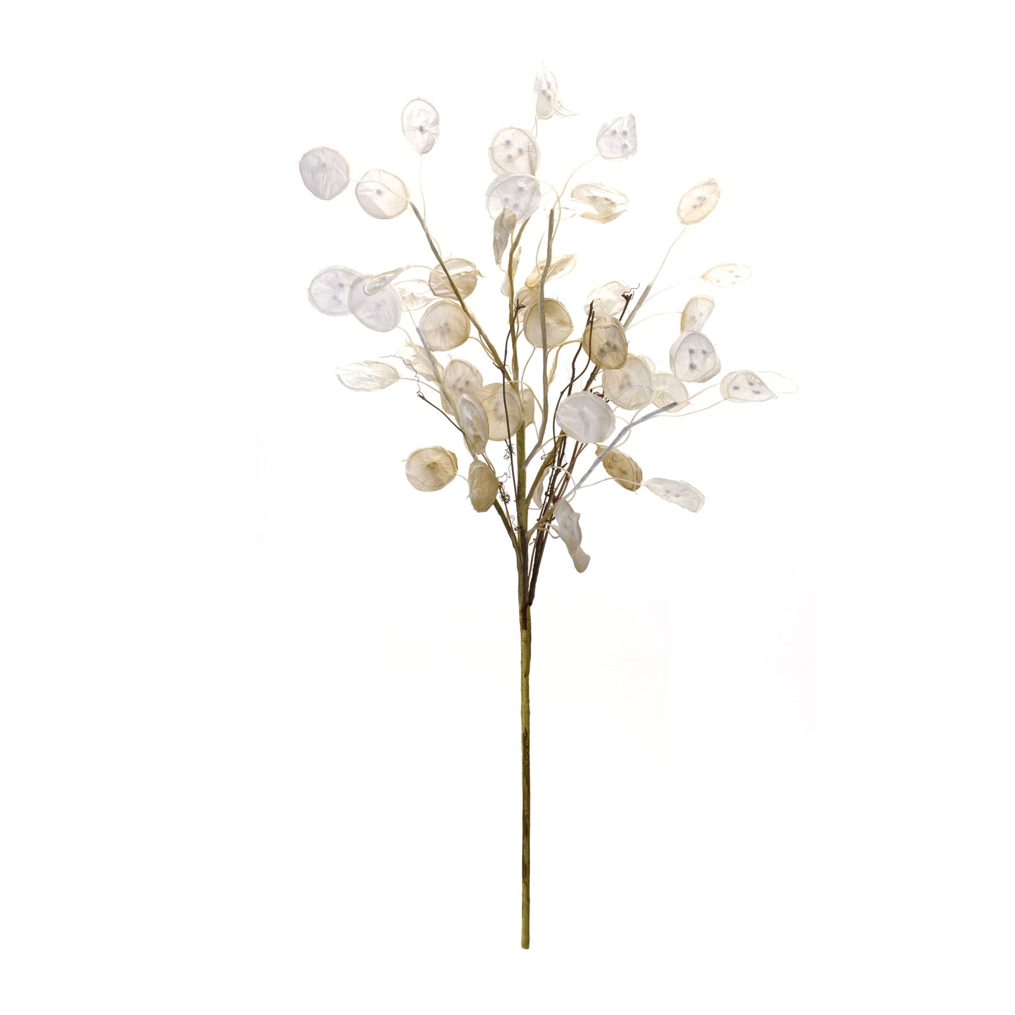 Silver Dollar Spray (Set Of 6) 31.5"H Fabric