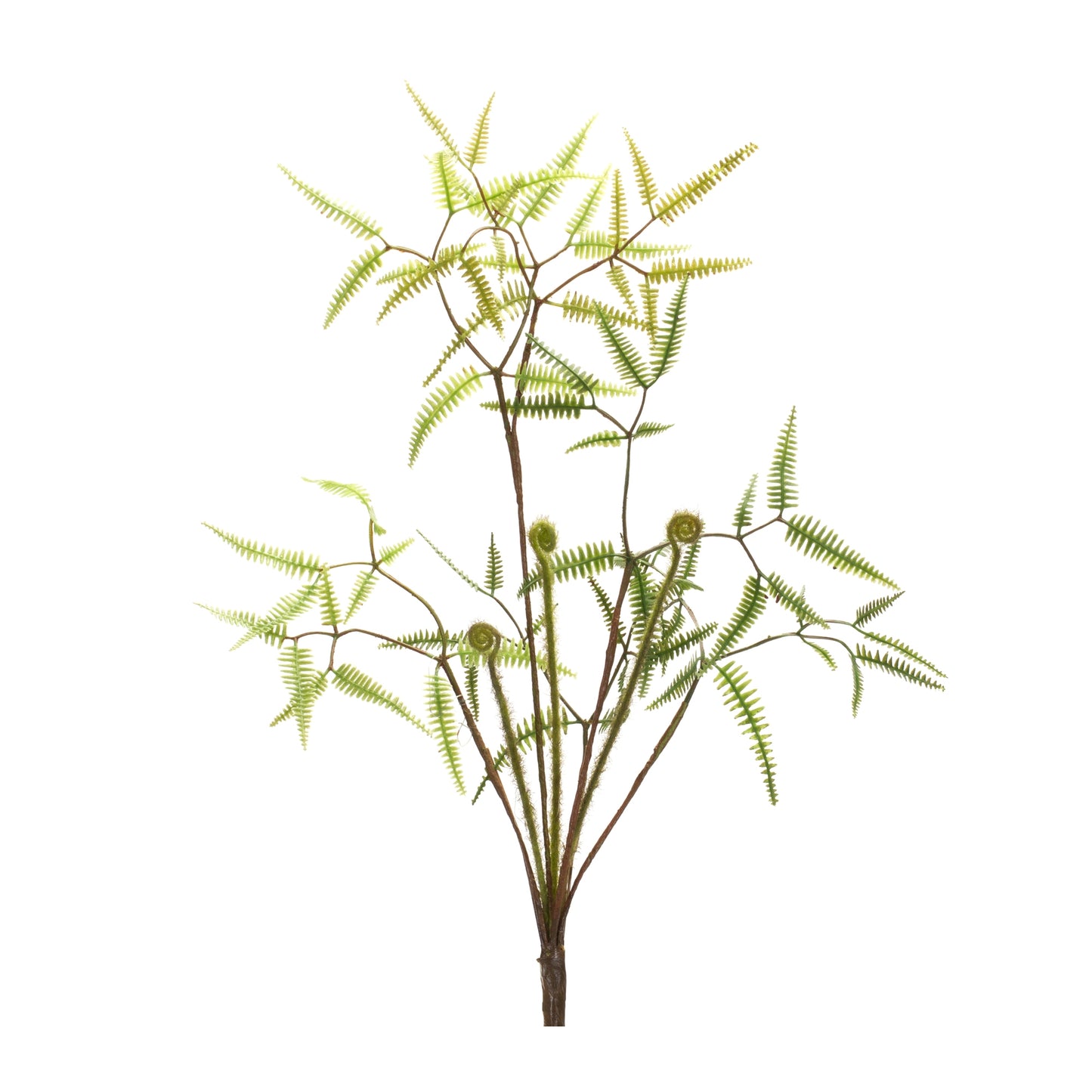 Mini Fern Bush (Set Of 6) 19"H Plastic