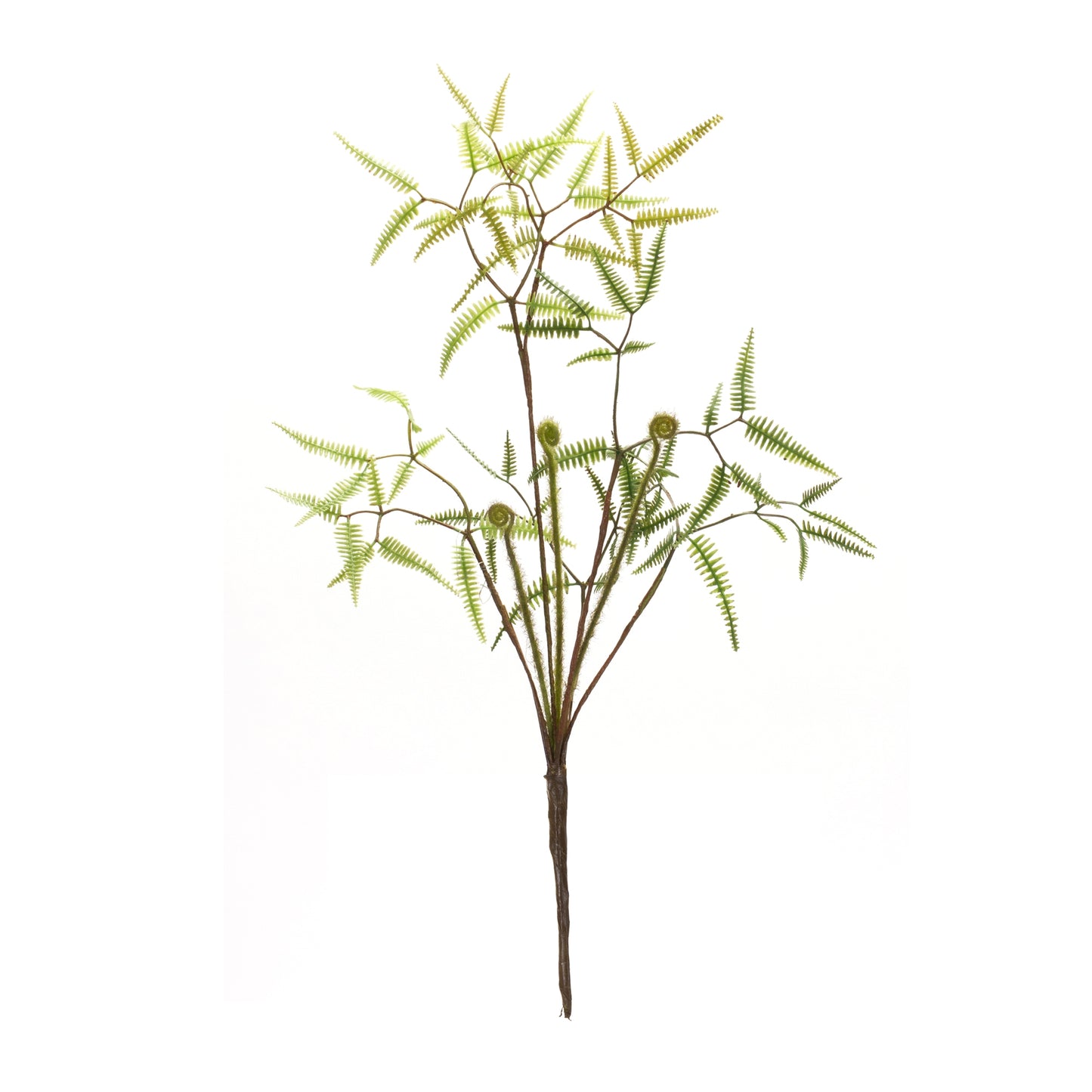 Mini Fern Bush (Set Of 6) 19"H Plastic
