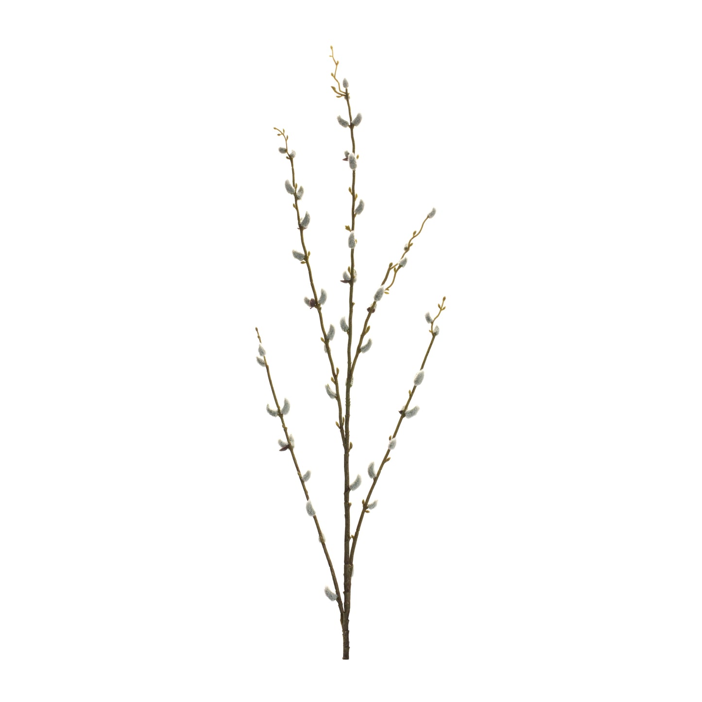 Willow (Set Of 6) 46"H Plastic
