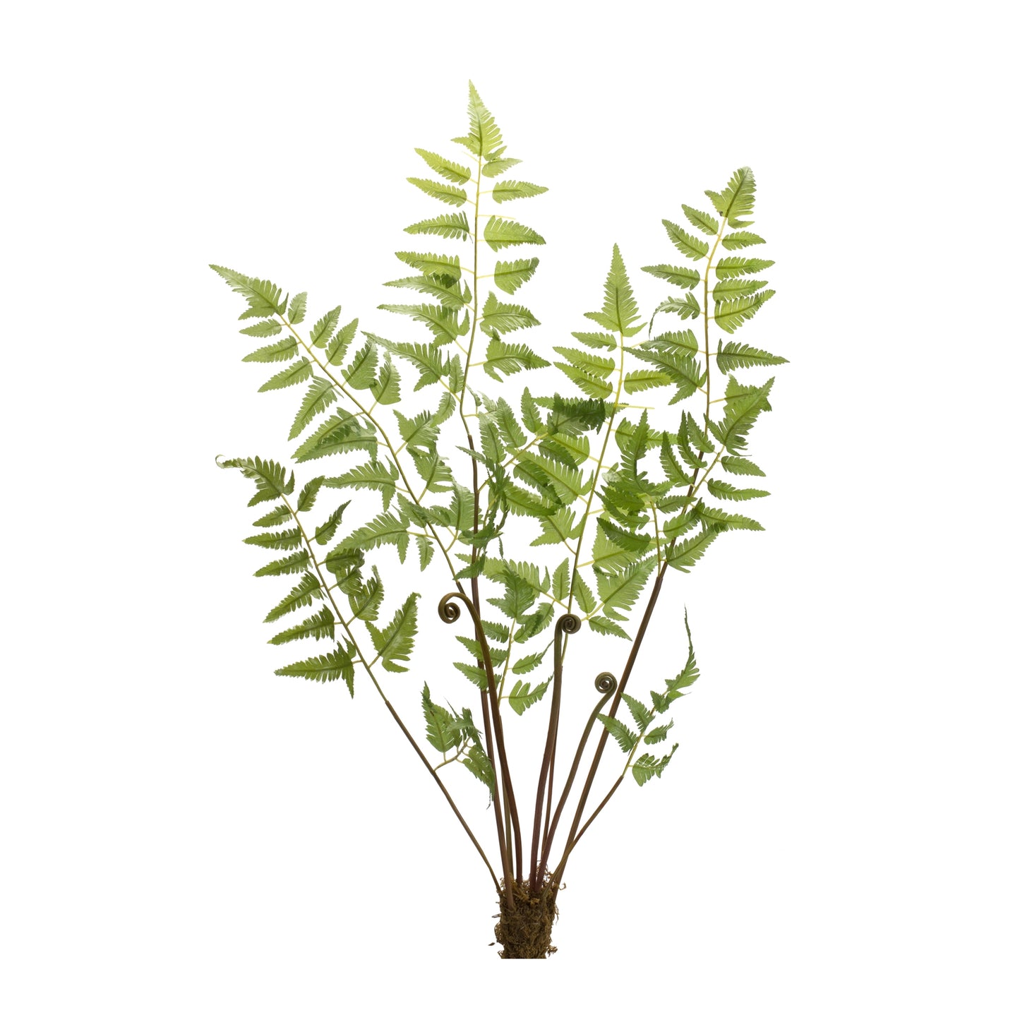 Fern Bundle (Set Of 6) 37"H Polyester