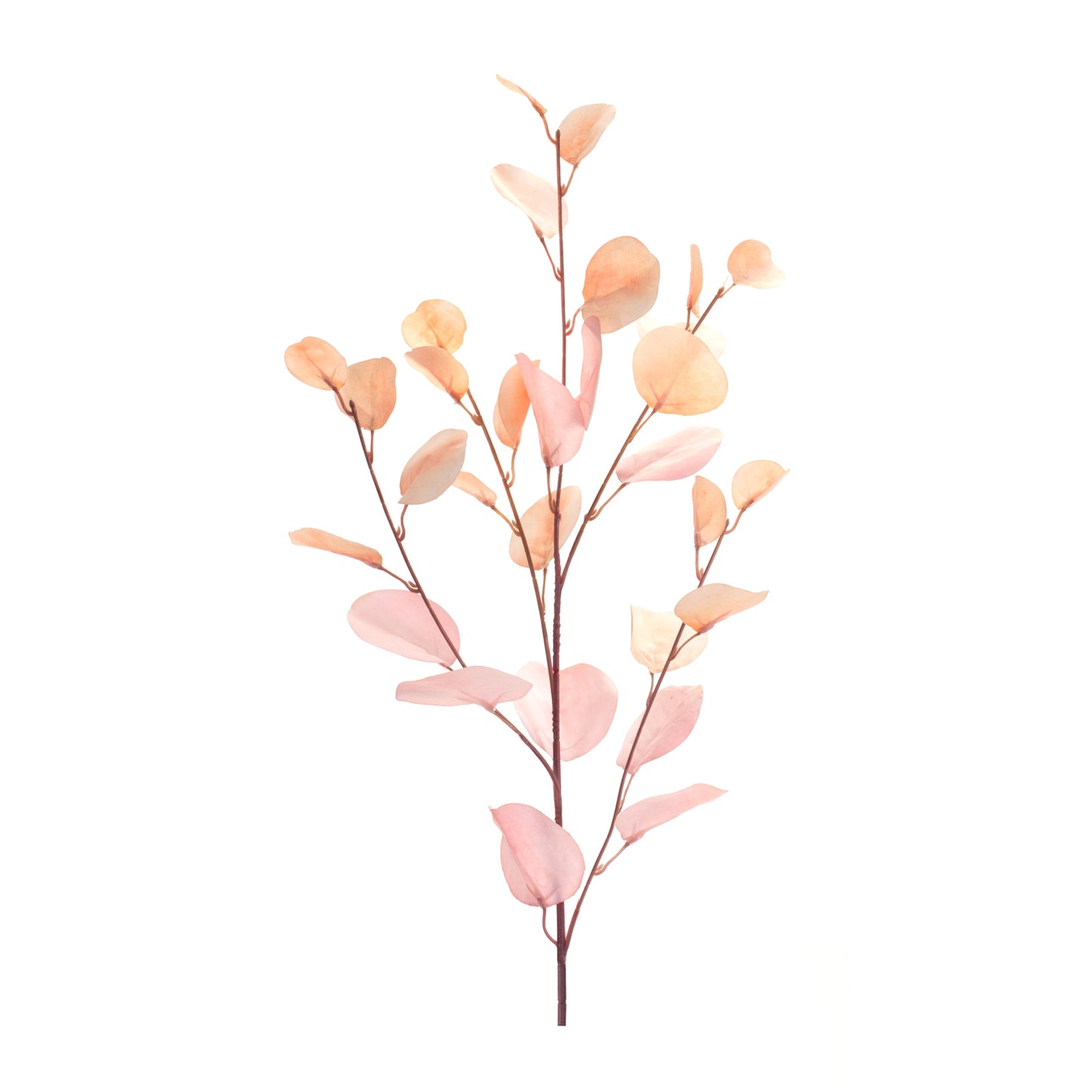 Eucalyptus Spray (Set Of 6) 34"H Polyester, Brown, Pink
