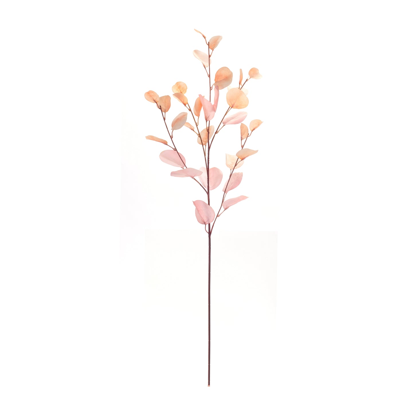 Eucalyptus Spray (Set Of 6) 34"H Polyester, Brown, Pink