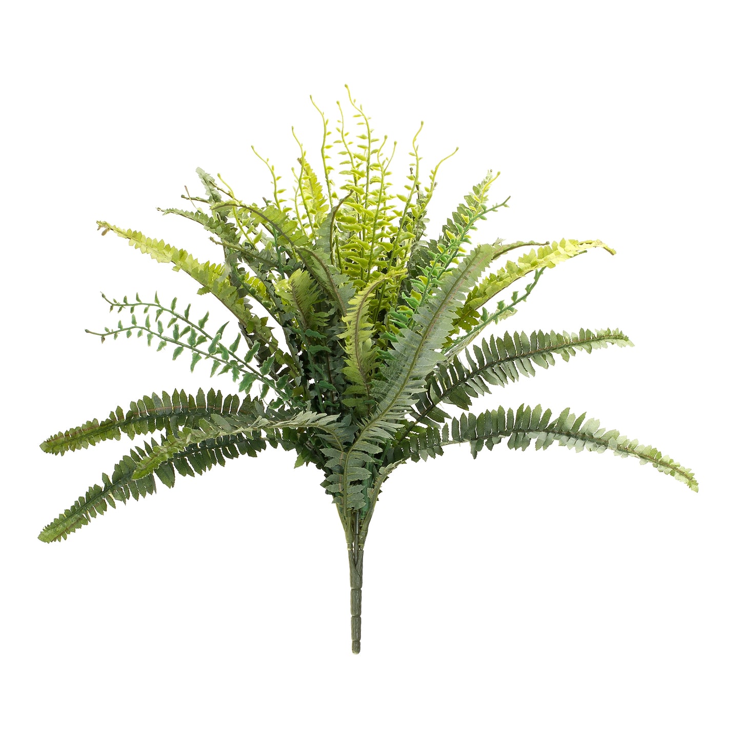 Mixed Fern Bush (Set Of 2) 22"H Polyester