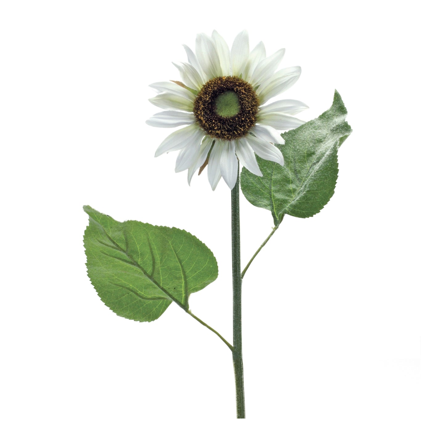 Sunflower Stem (Set Of 6) 22.75"H Polyester, Green, White, Brown