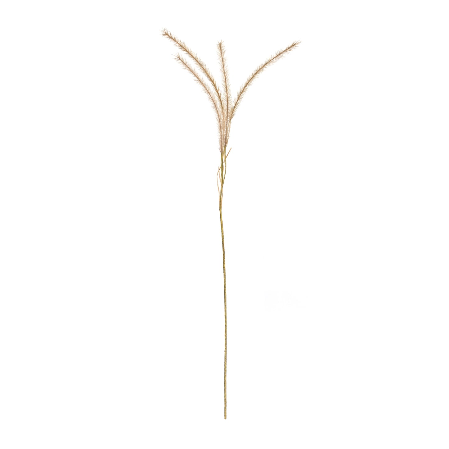 Fox Tail Stem (Set Of 6) 50"H Polyester