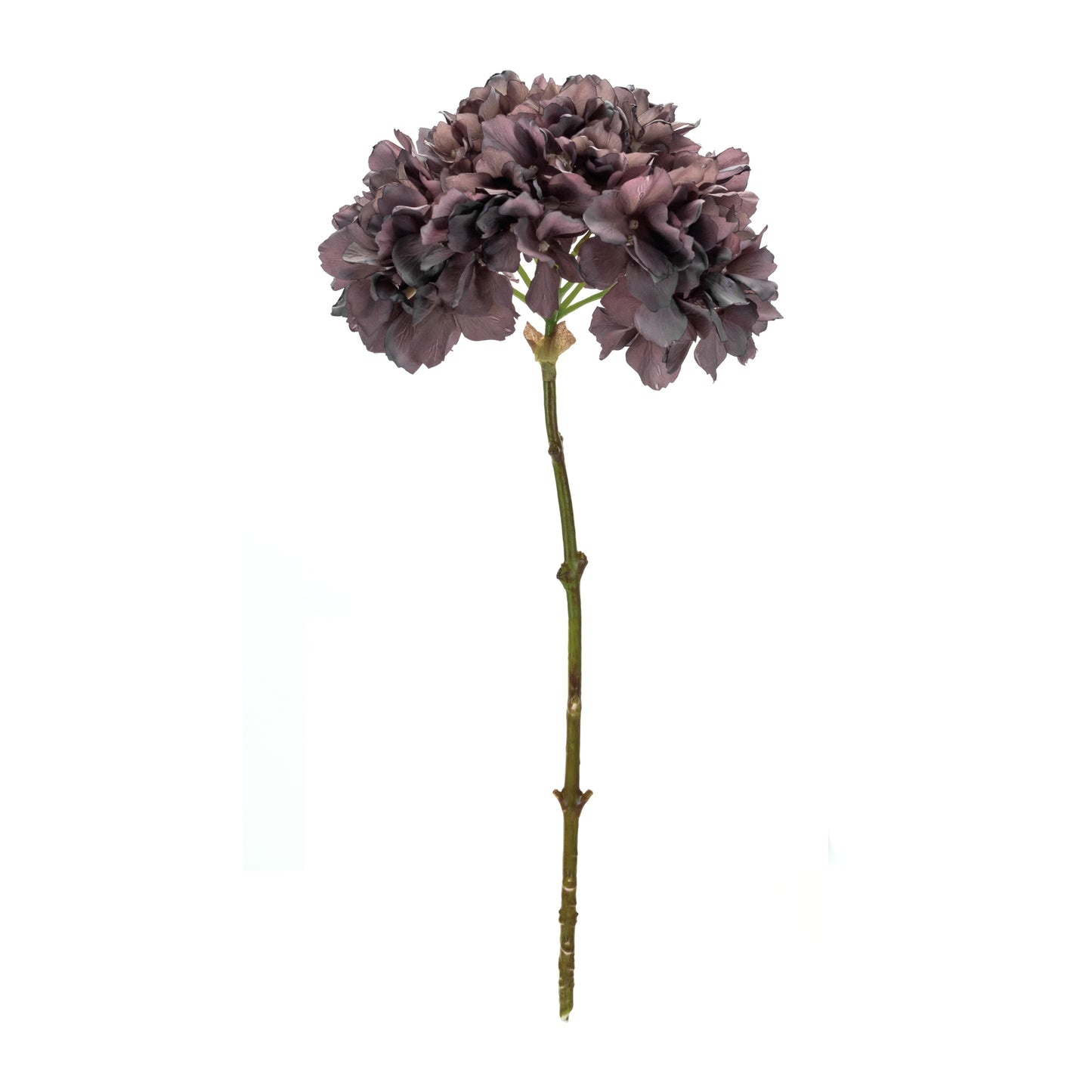Hydrangea (Set Of 6) 19"H Polyester
