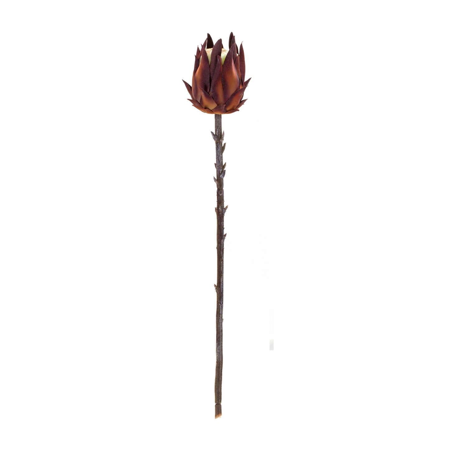 Protea Stem (Set Of 6) 20"H Plastic, Orange, Brown