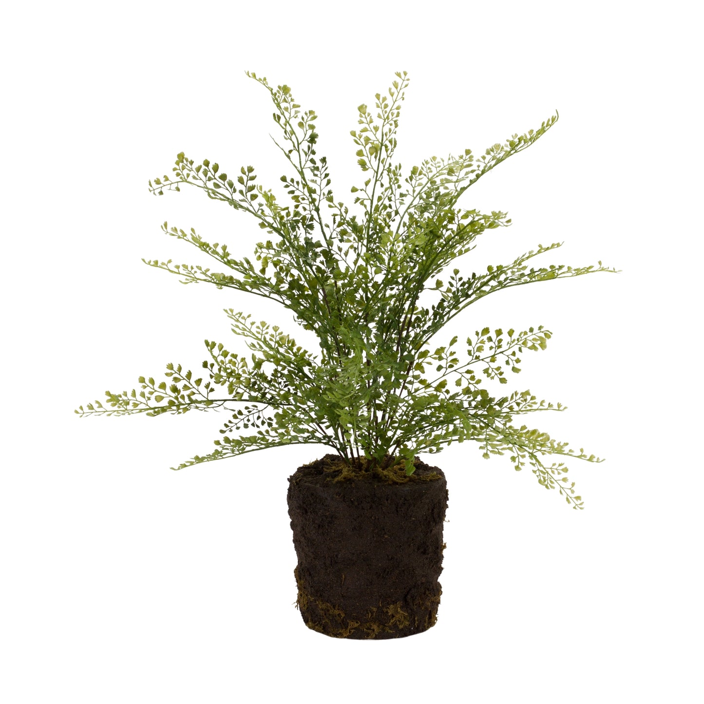 Potted Fern Bush (Set Of 2) 21"H Plastic