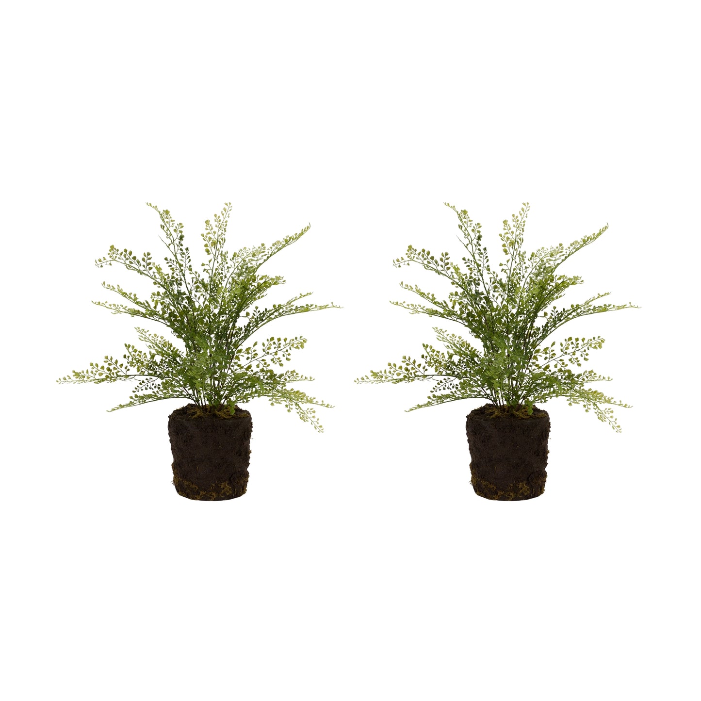 Potted Fern Bush (Set Of 2) 21"H Plastic