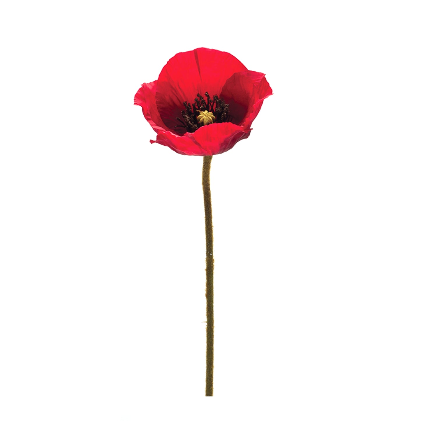 Poppy Spray (Set Of 6) 26.5"H Polyester
