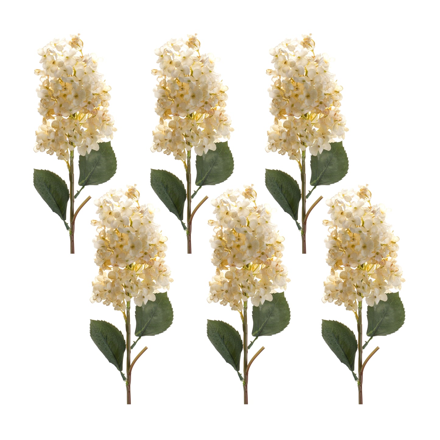 Cone Hydrangea Stem (Set Of 6), White, Green