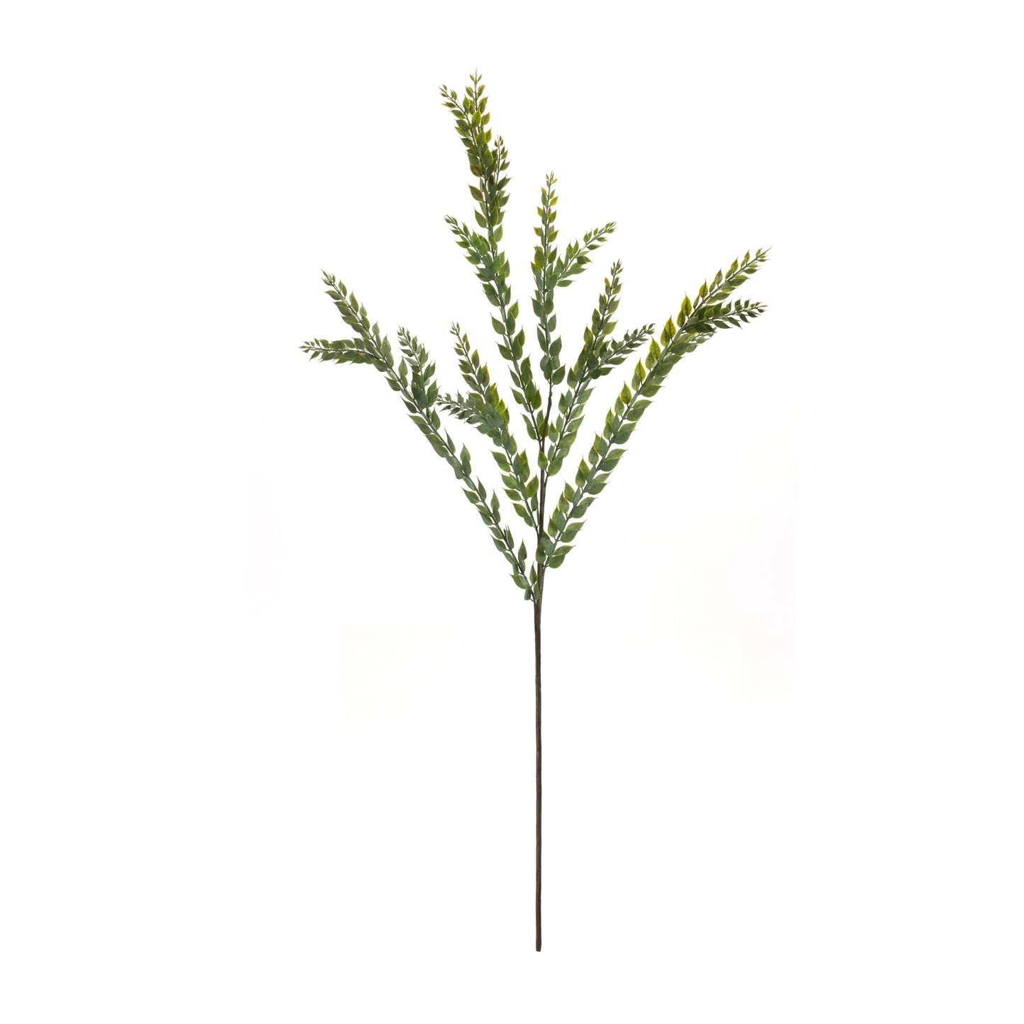 Knife Blade Eucalyptus Spray (Set Of 6) 40"H Plastic