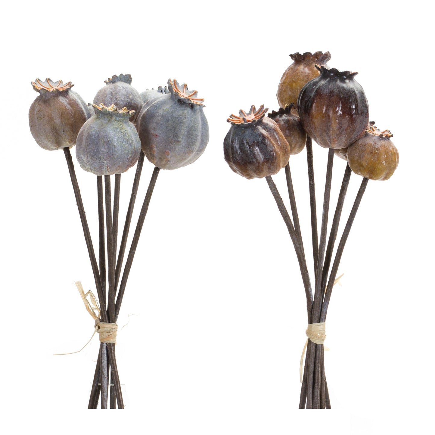 Poppy Pod Bundle (Set Of 6) 10.5"H Foam/Plastic, Blue, Brown