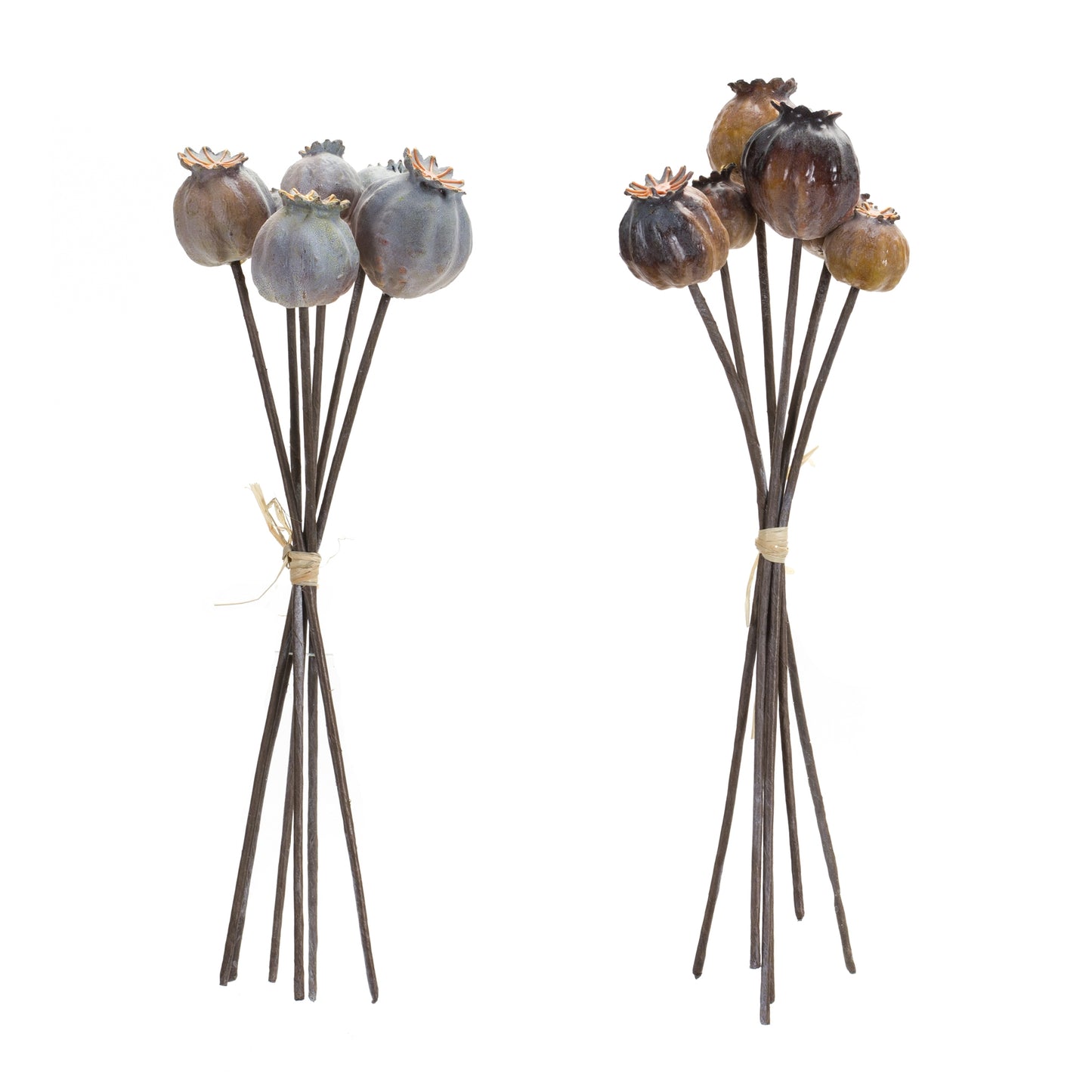 Poppy Pod Bundle (Set Of 6) 10.5"H Foam/Plastic, Blue, Brown
