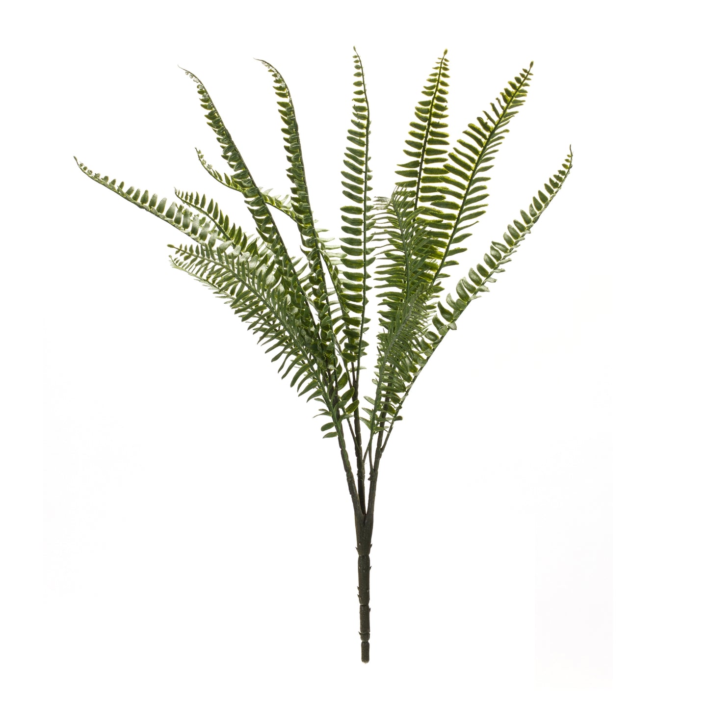 Fern Bush (Set Of 6) 22"H Plastic