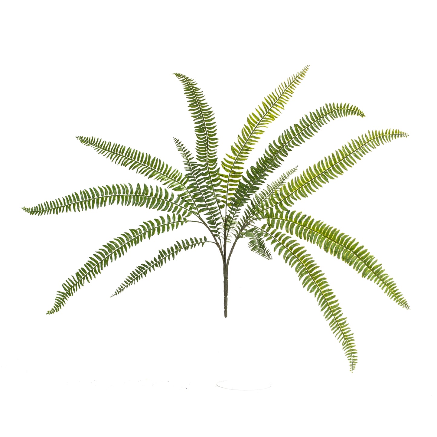 Fern Bush (Set Of 6) 25"H Plastic