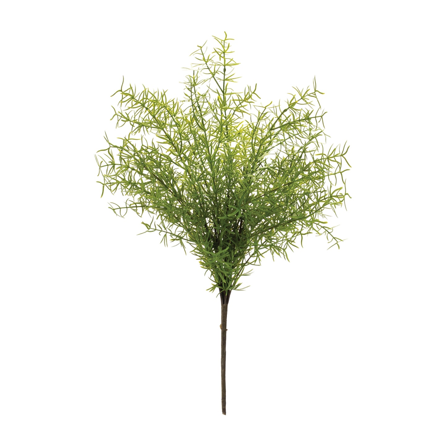 Asparagus Fern Bush (Set Of 6) 18.5"H Plastic