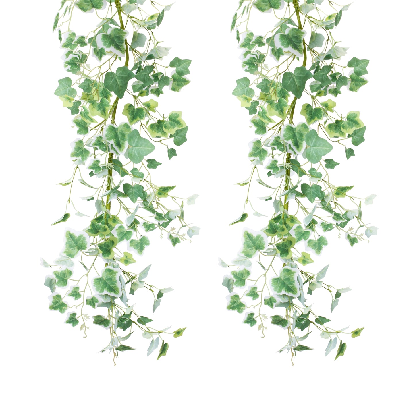 Mixed Ivy Garland (Set Of 2) 5'L Polyester