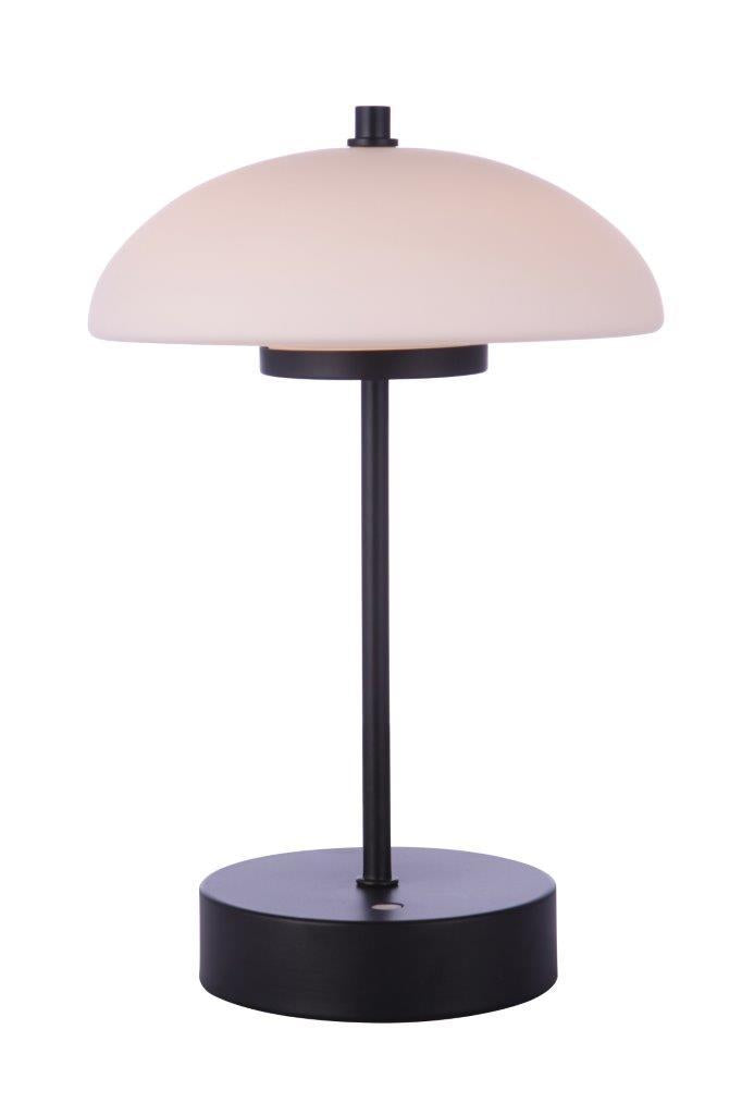 Indoor Rechargeable Dimmable LED Portable Lamp with Glass Shade, FB