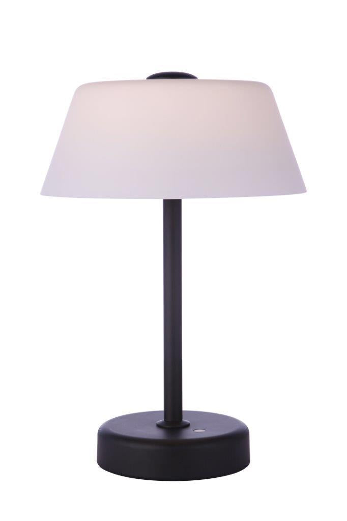 Outdoor Rechargeable Dimmable LED Portable Lamp w/ Glass Shade, MN