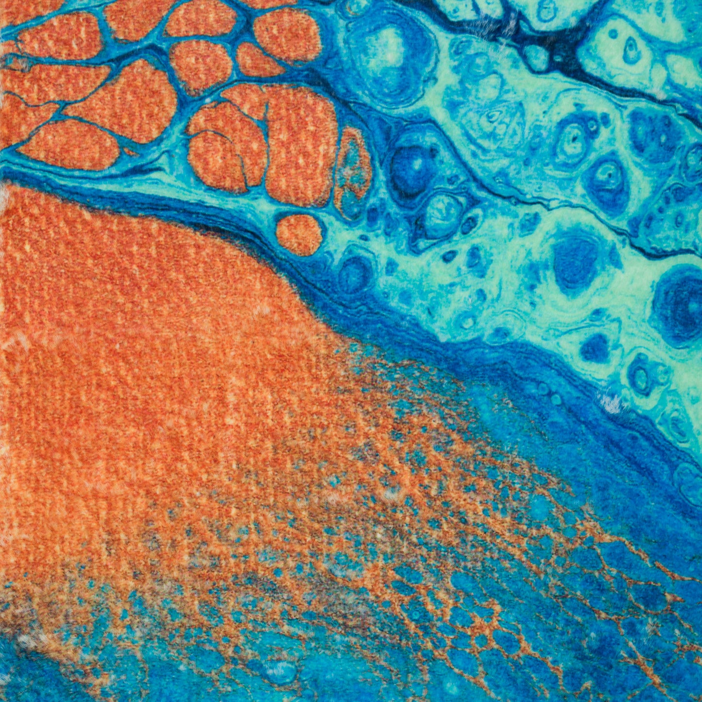 Kikiamo KK8 Bermuda 5' x 7'6" Rug