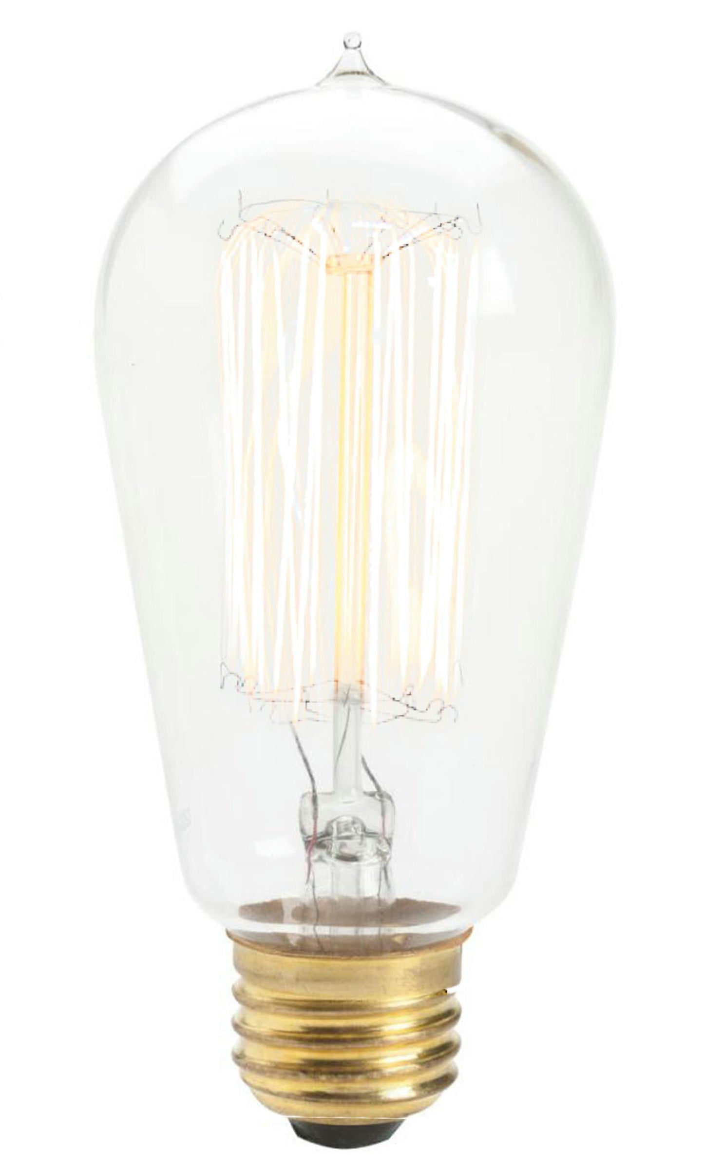 Edison Clear Light Bulb