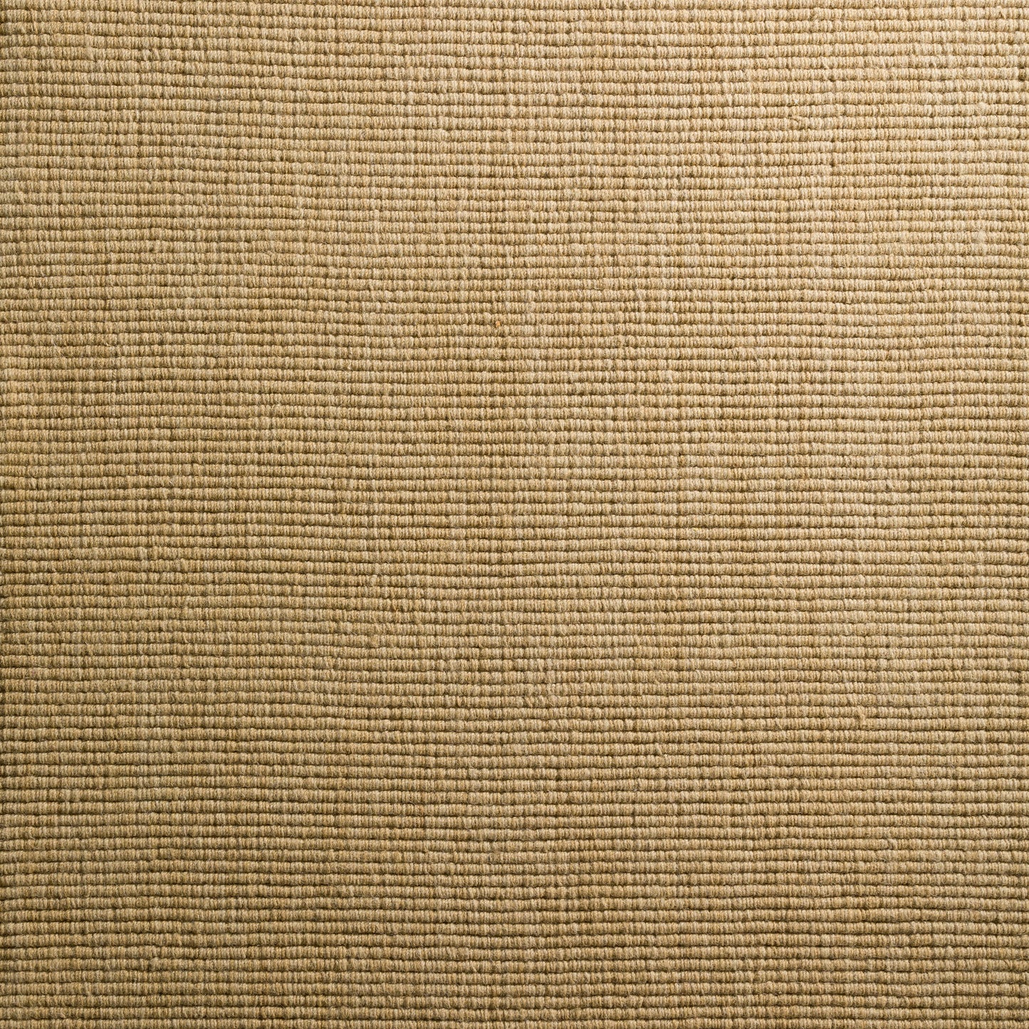 Monaco Sisal MC100 Honey 3'6" x 5'6" Rug