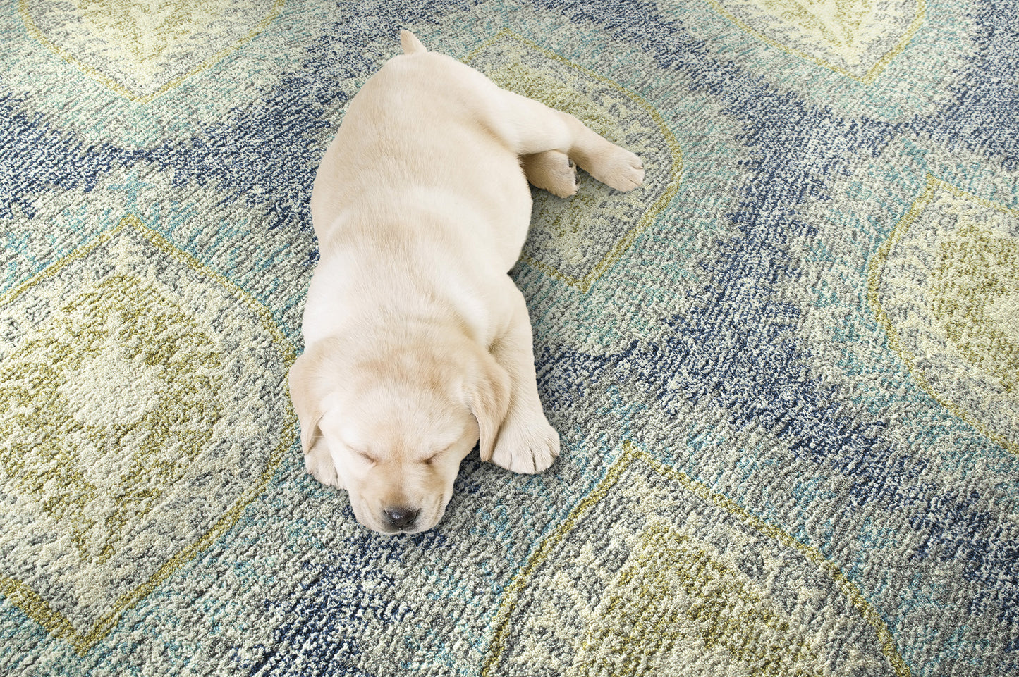 Kaleen Montage Collection Light Blue Area Rug 3'6" x 5'6"