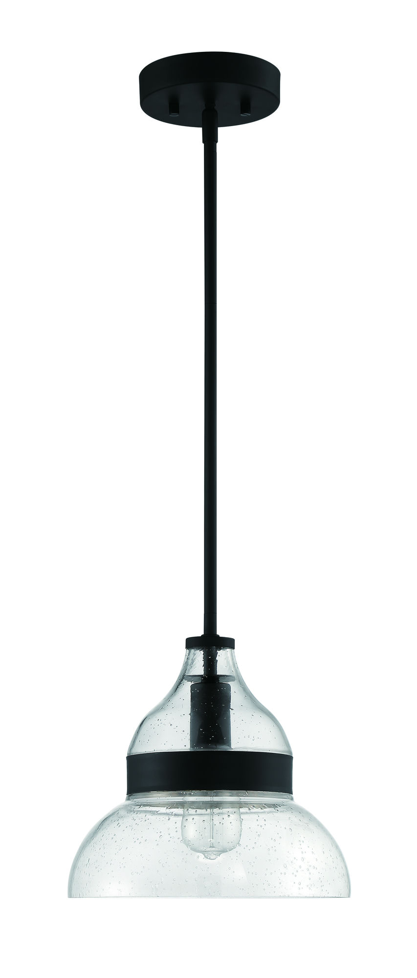 1 Light Mini Pendant, P960FB1